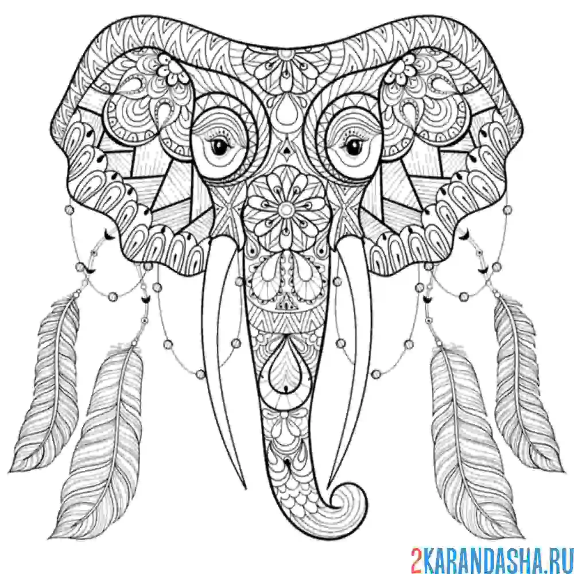 Раскраска слон узоры