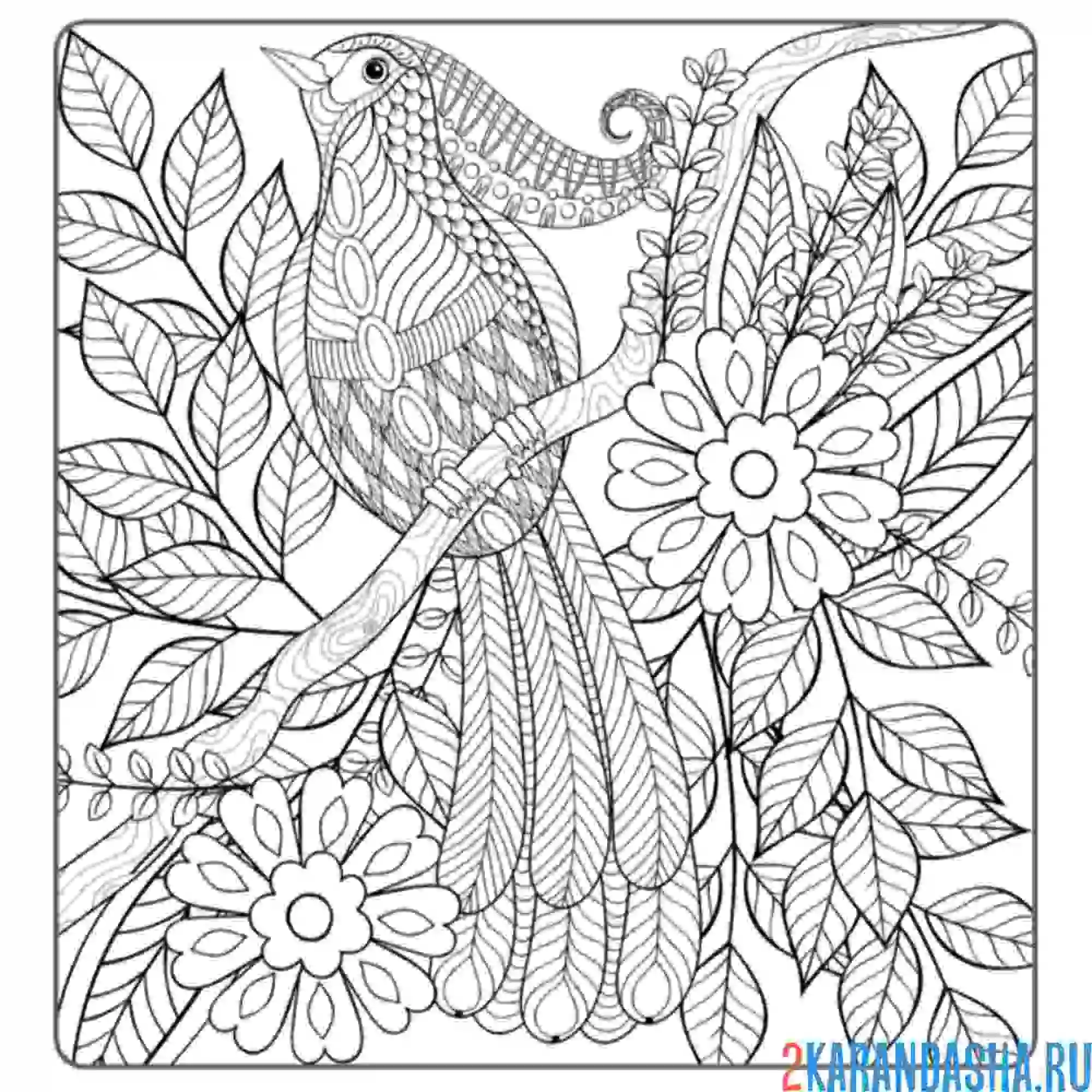 Раскраска птичка в цветах на ветке