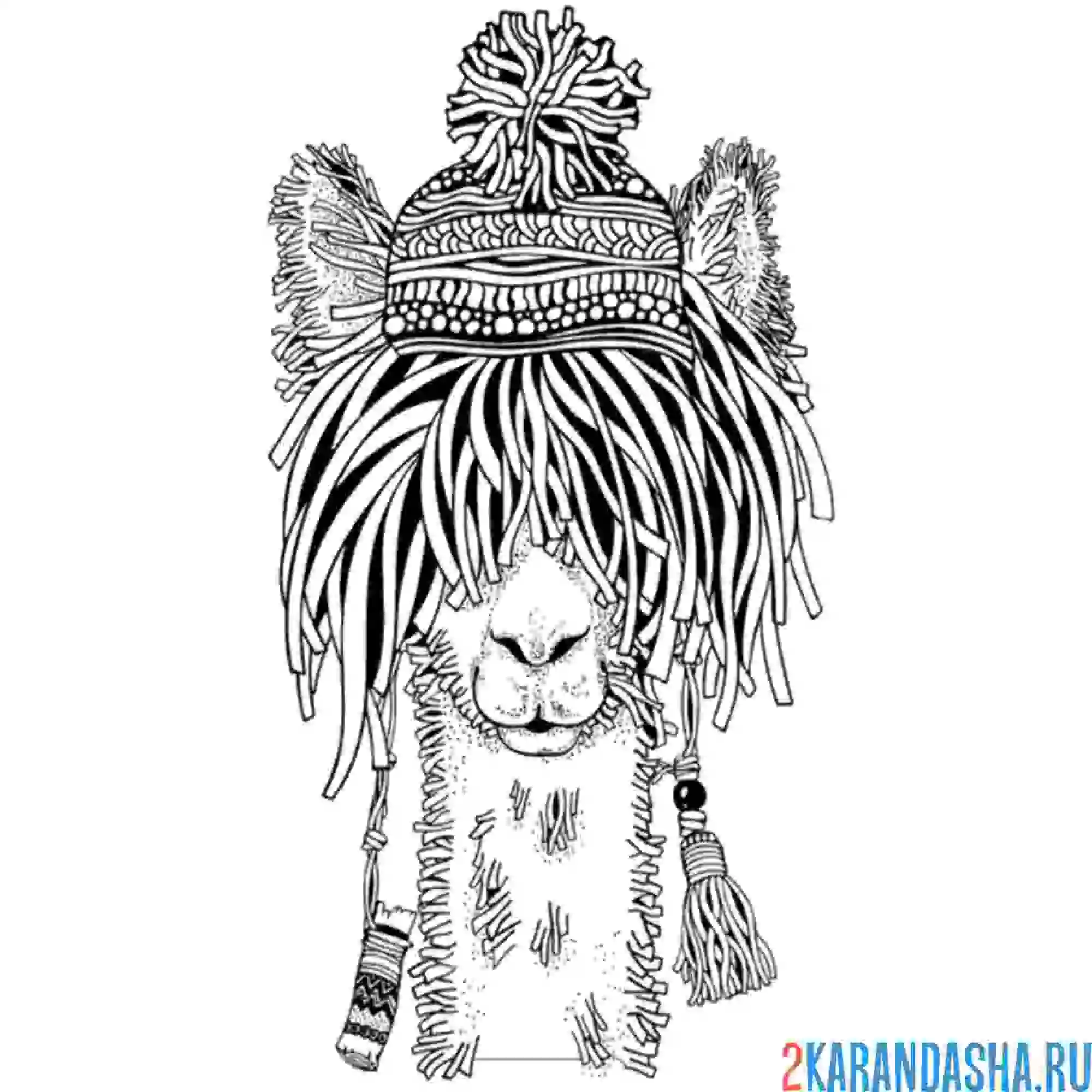 Раскраска голова ламы