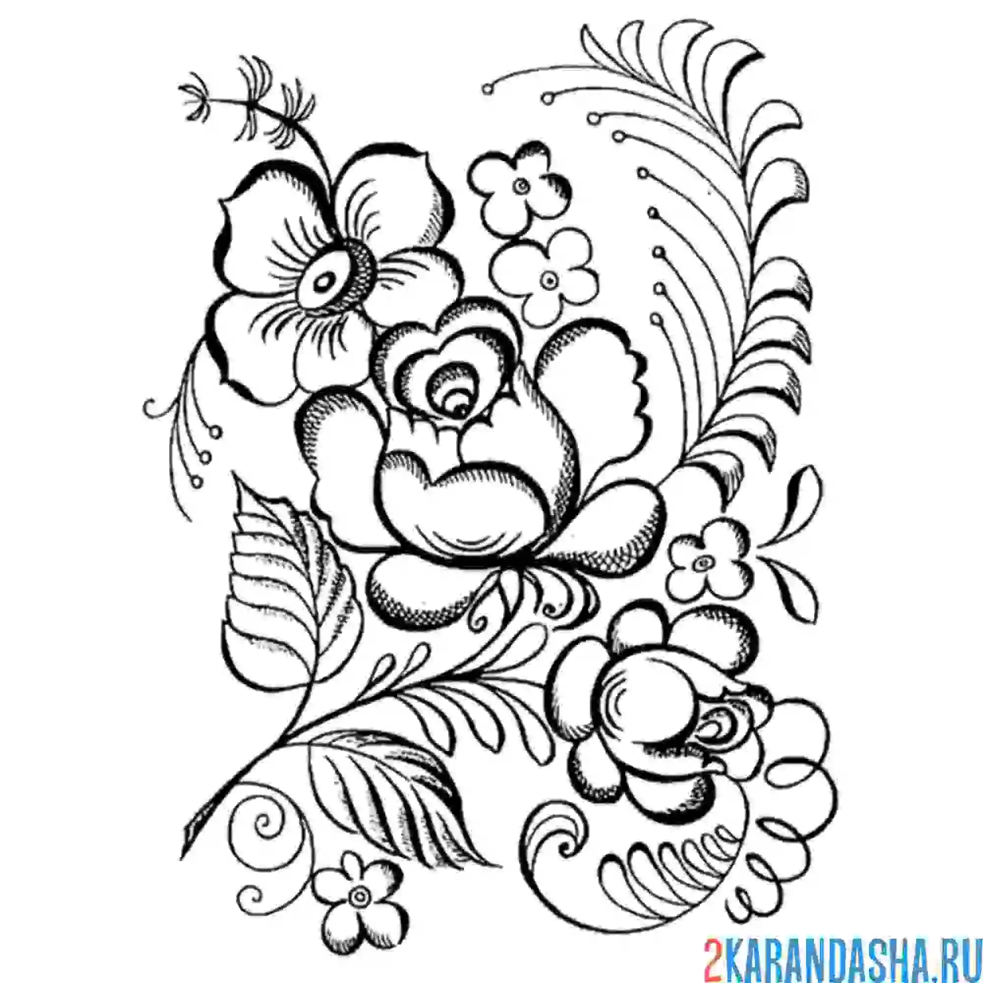 Раскраска узор хохлома