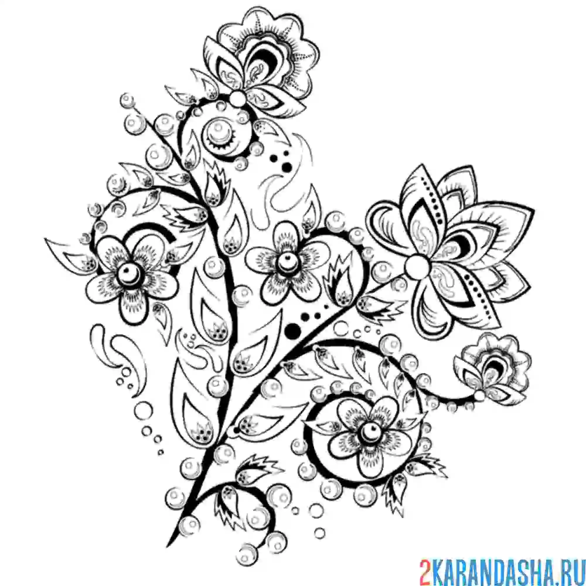 Раскраска цветы хохлома