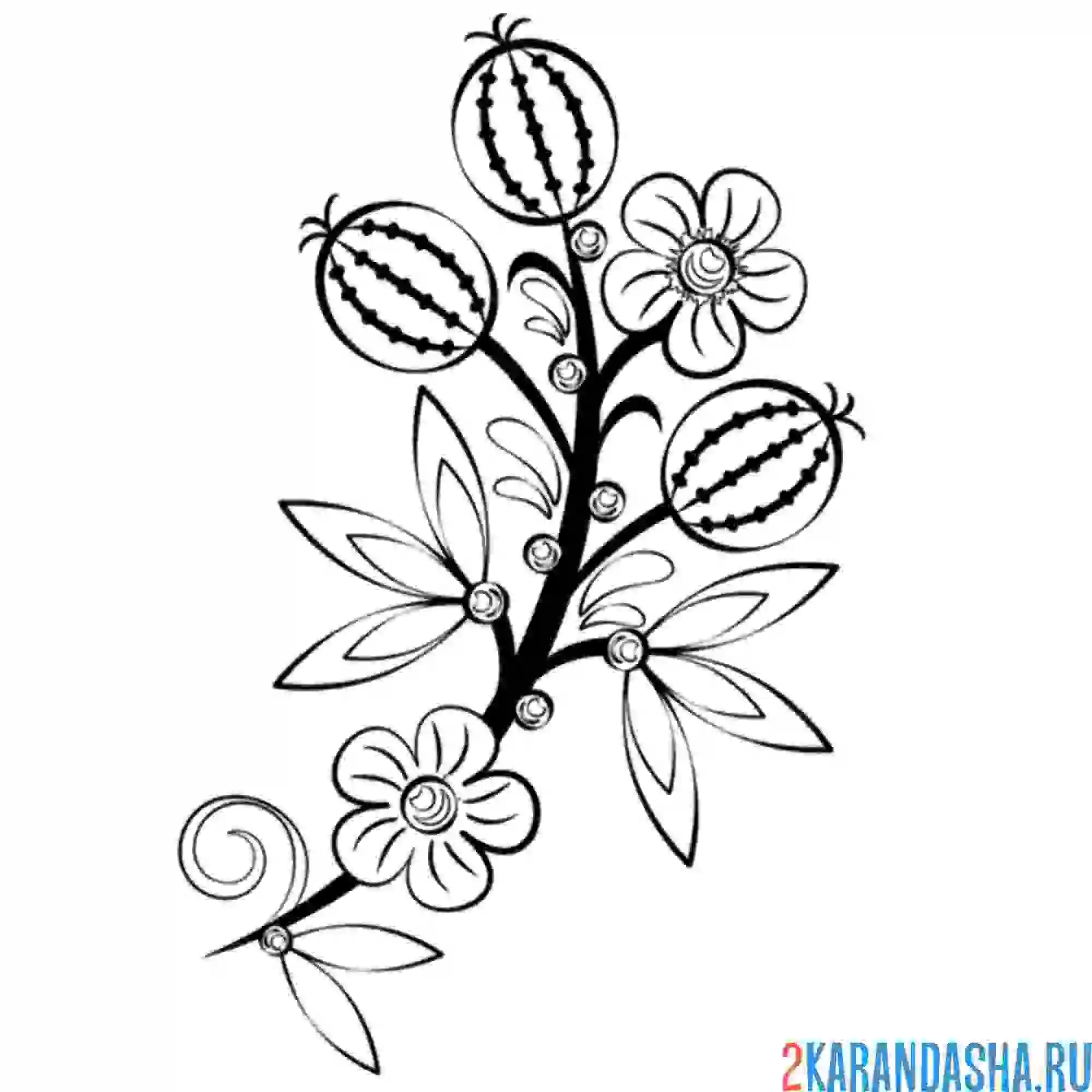 Раскраска хохлома арбузик