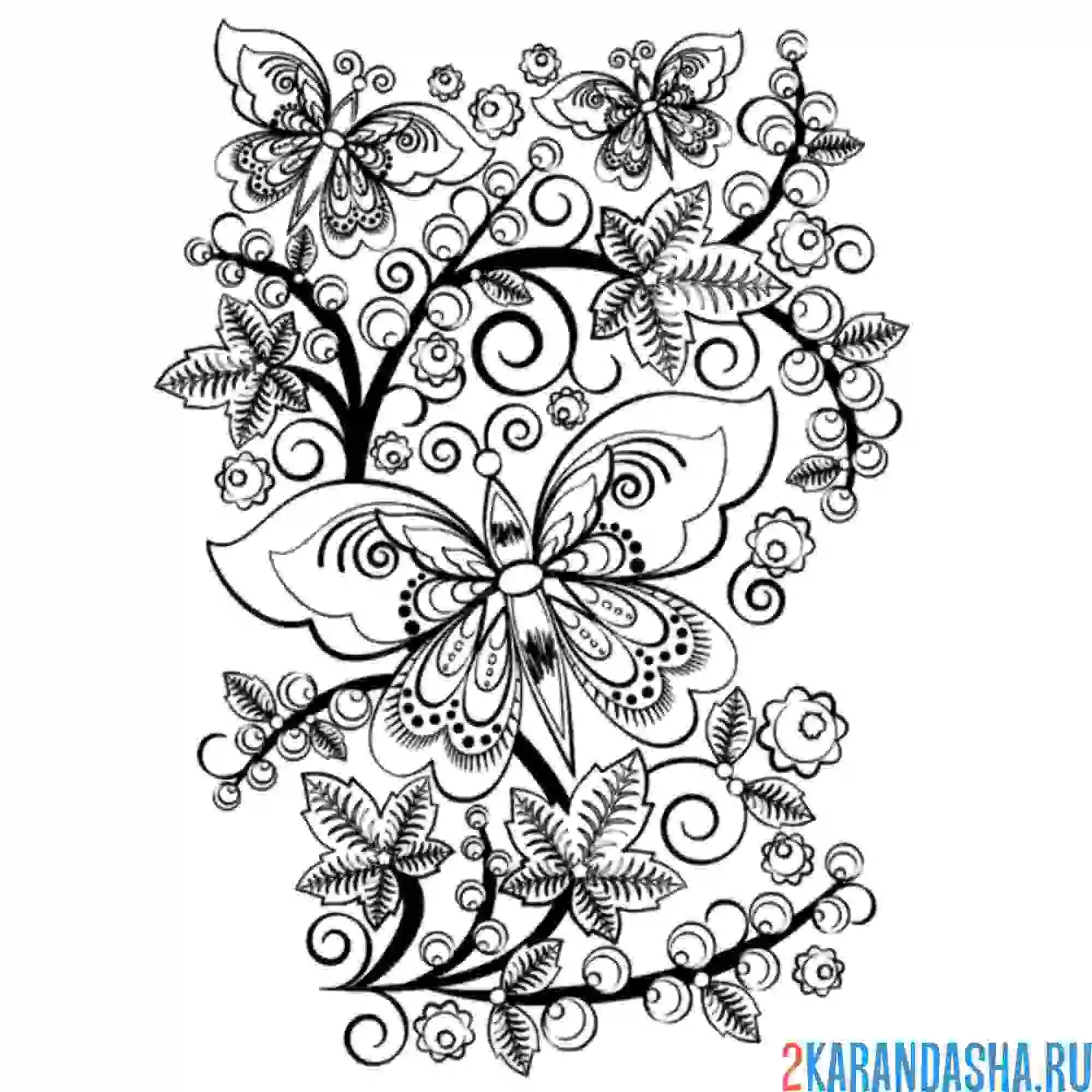 Раскраска хохлома бабочка