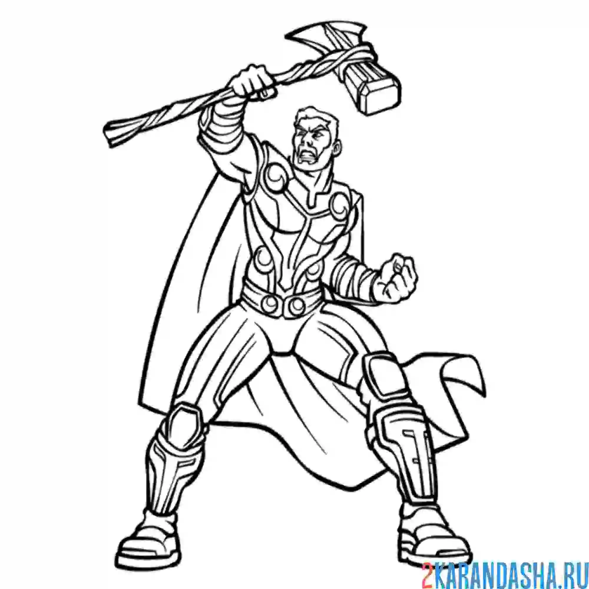 Раскраска тор