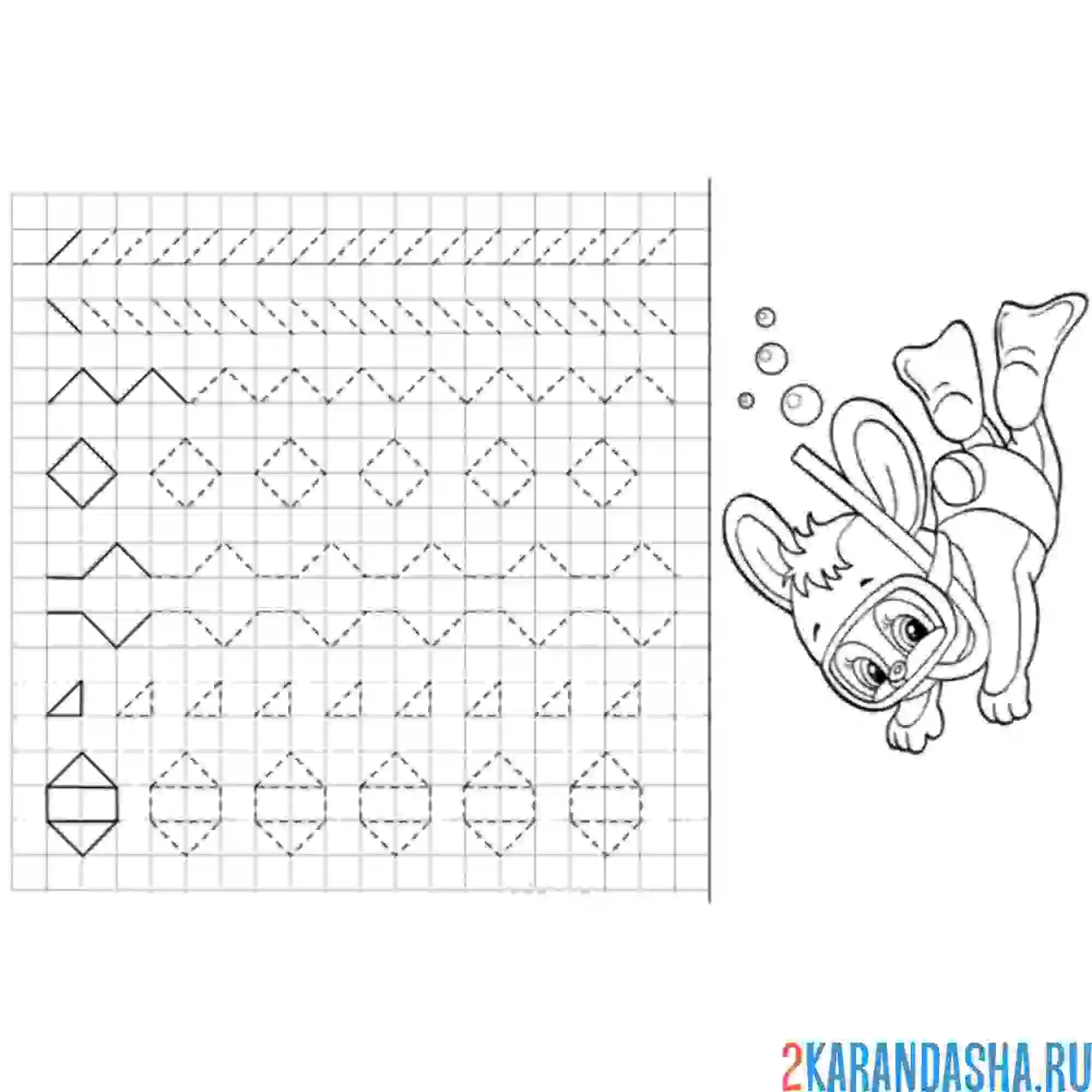 Раскраска прописи линии