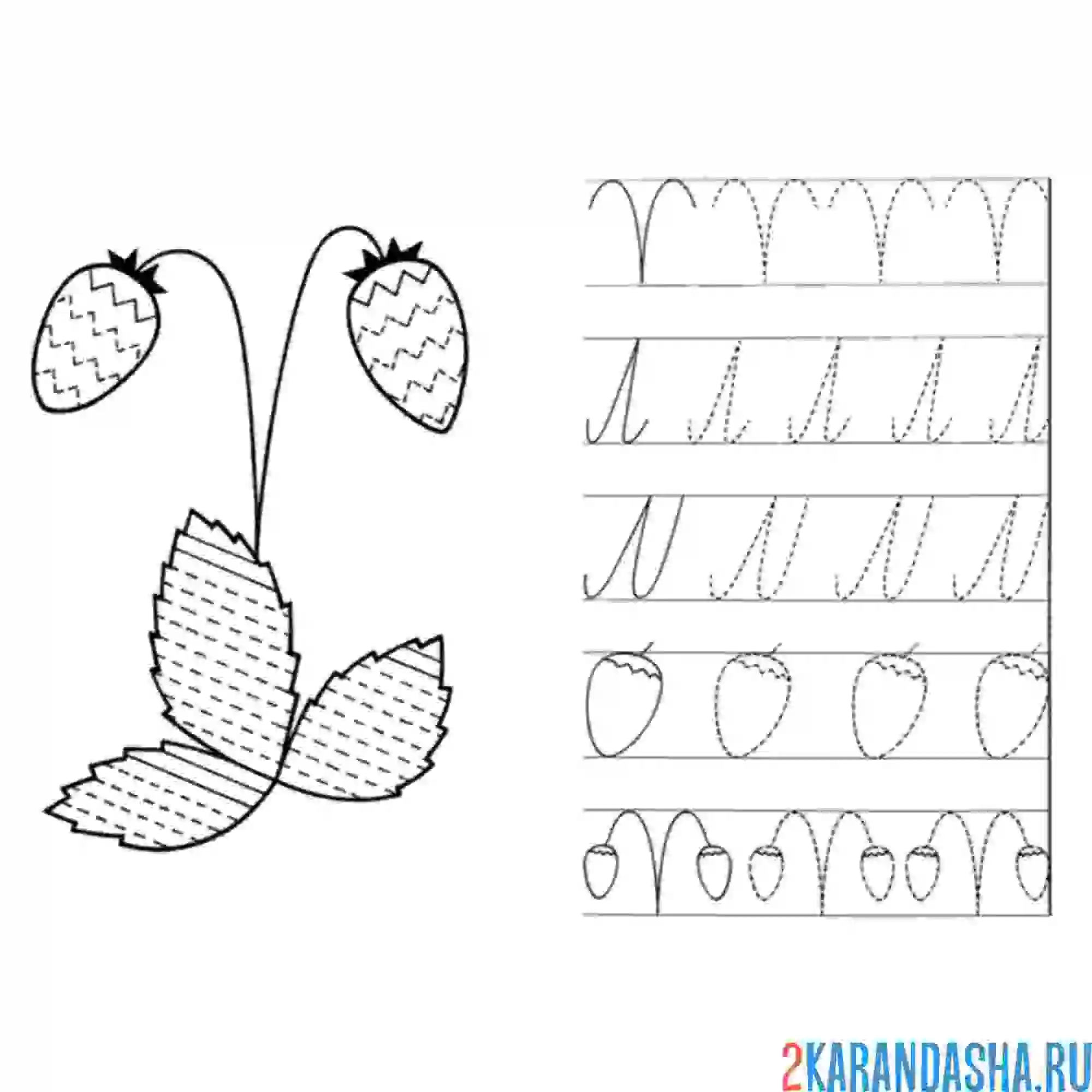 Раскраска учимся рисовать пропись