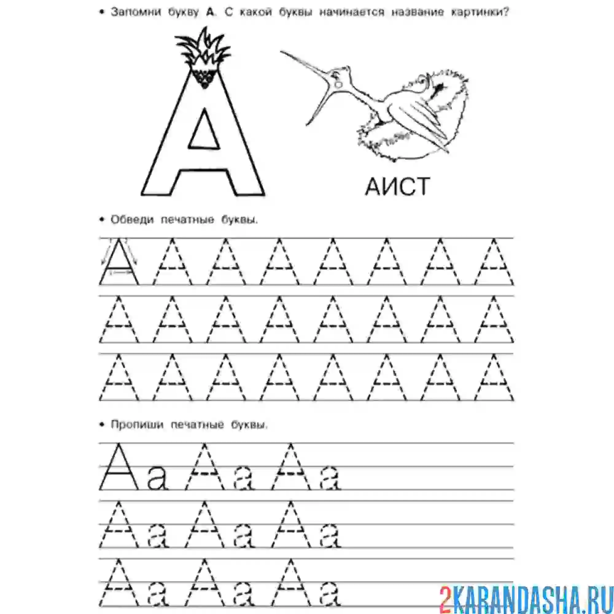Раскраска буква а пропись для малыша