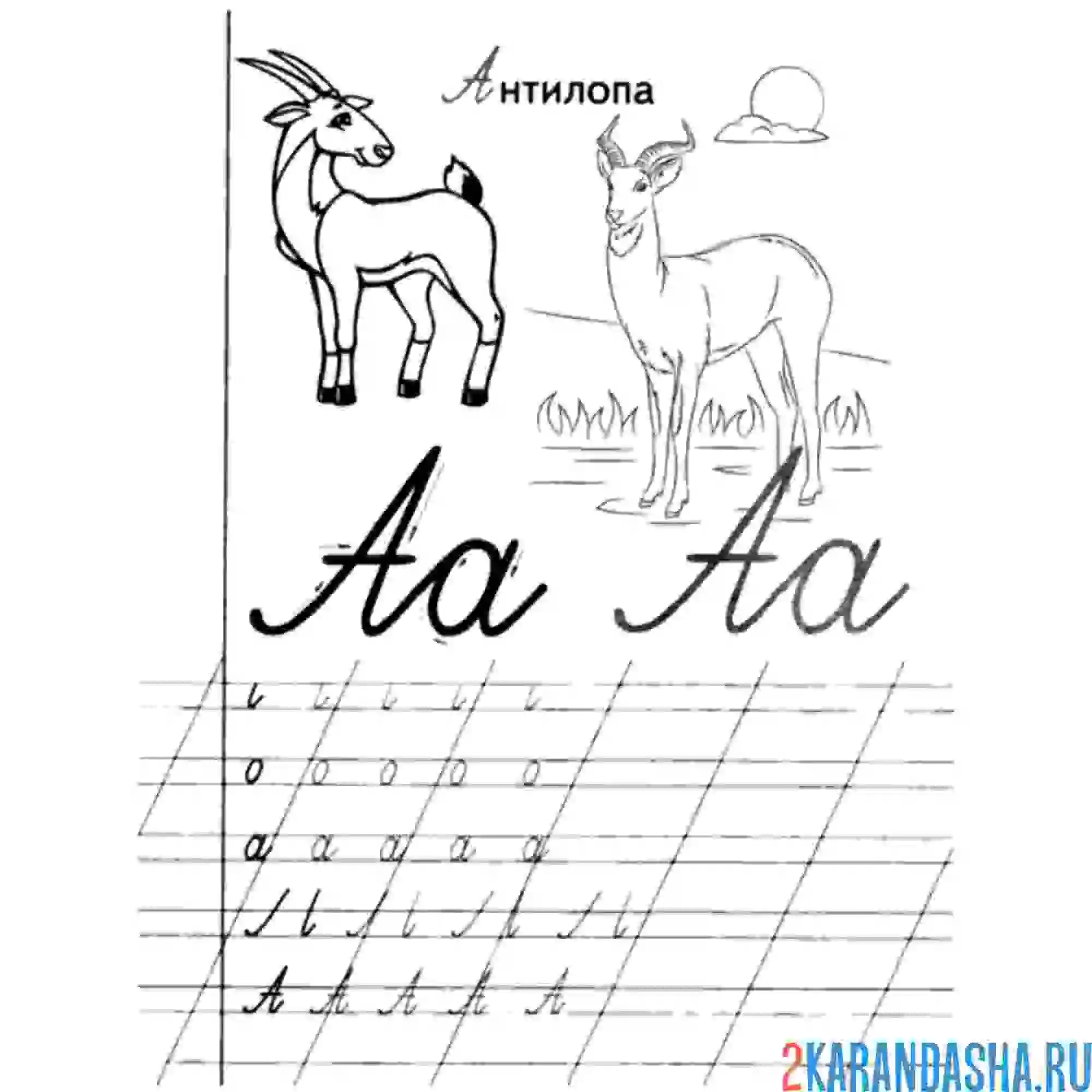 Раскраска напиши букву а прописью