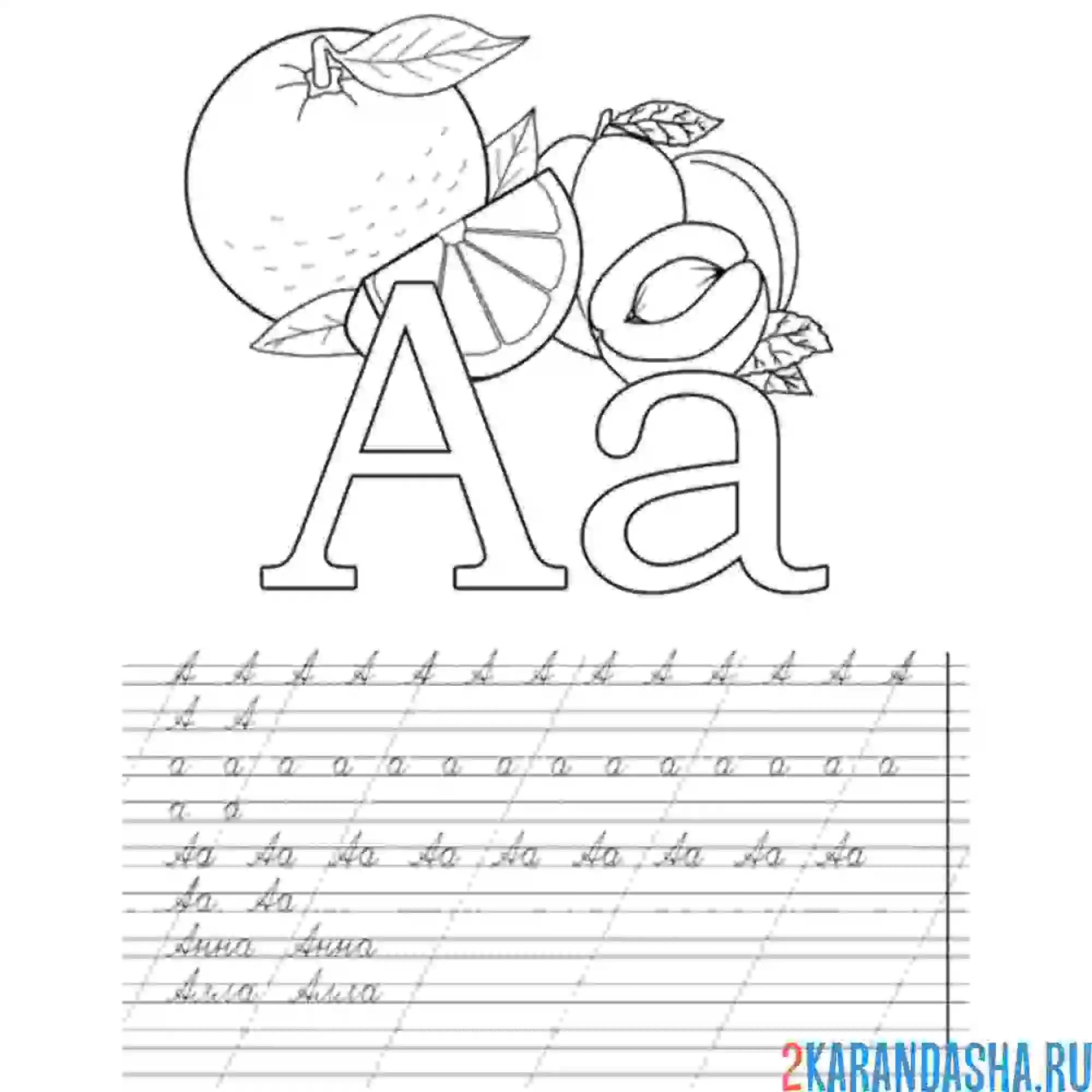 Раскраска буква а пропись