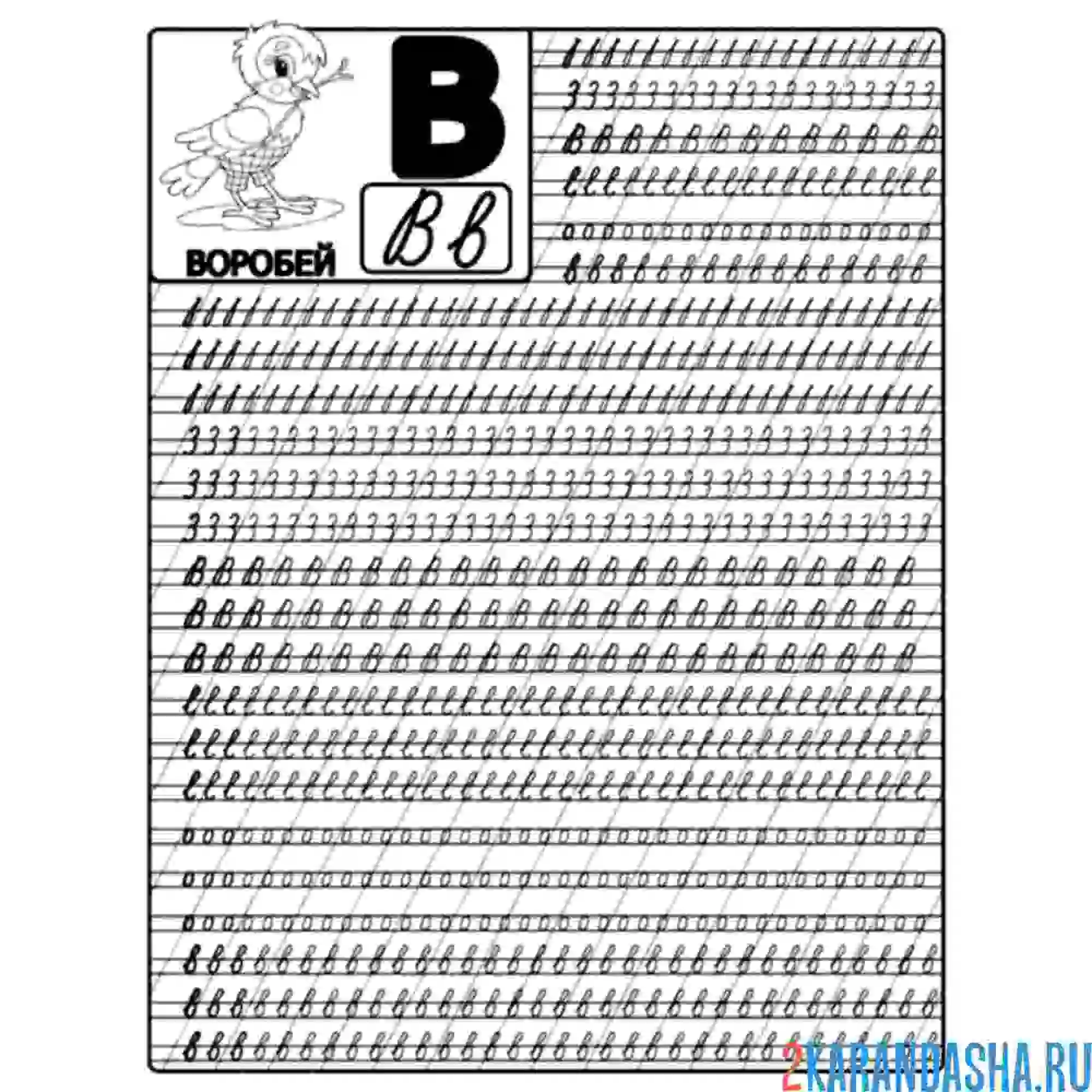 Раскраска буква в прописью