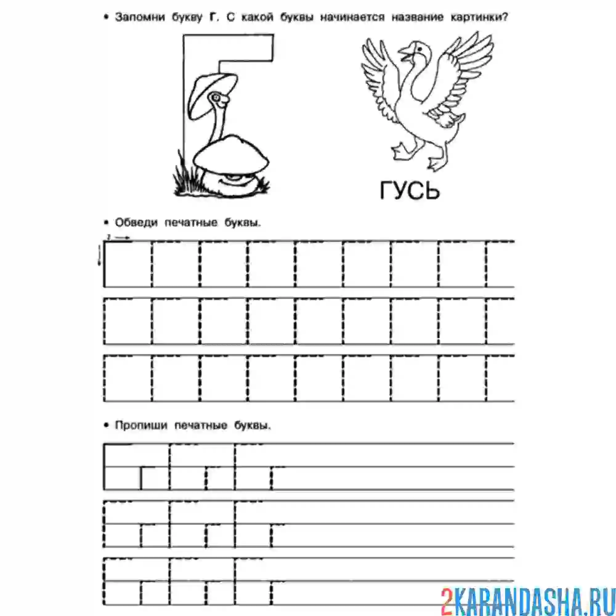 Раскраска обведи букву г