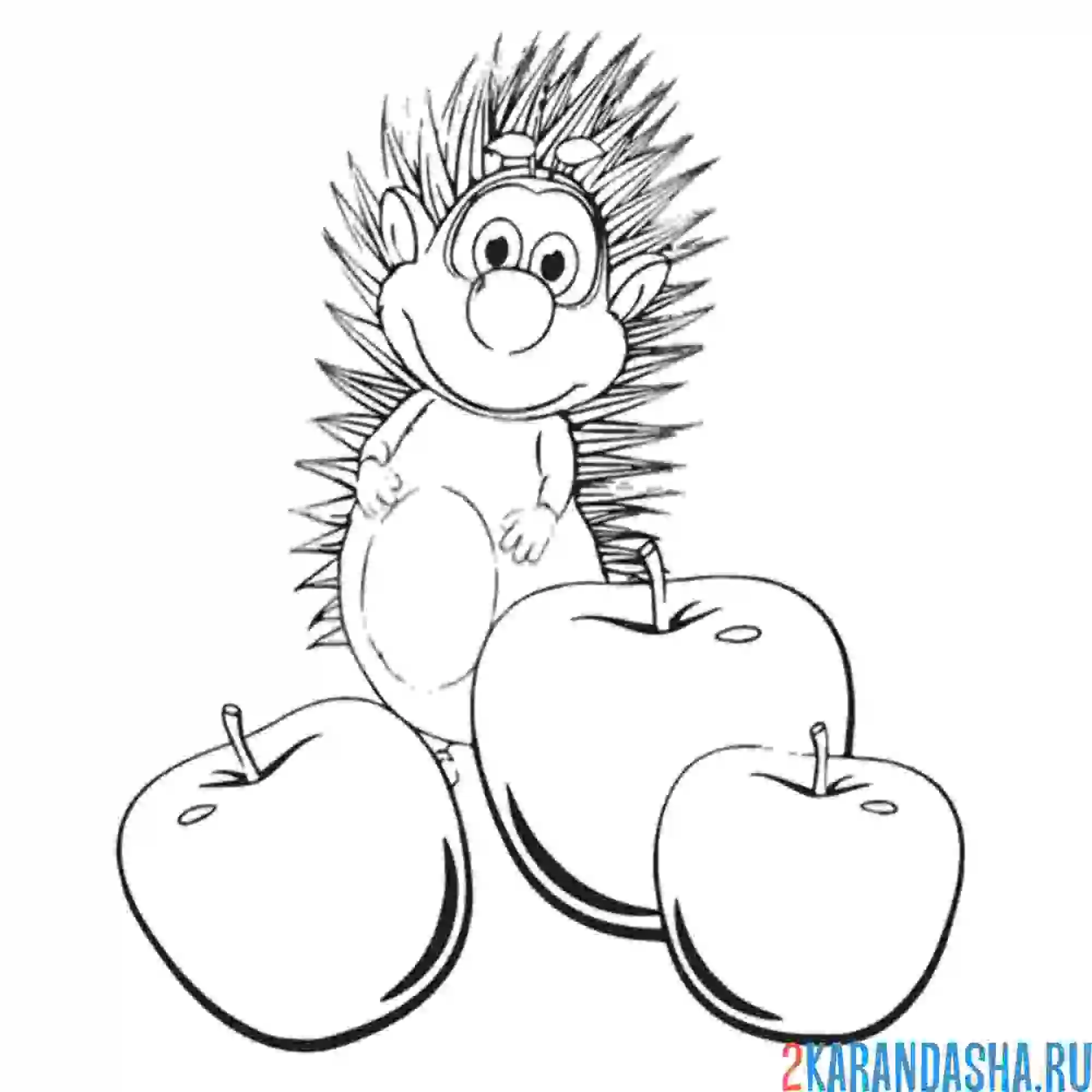 Раскраска спайк ёж