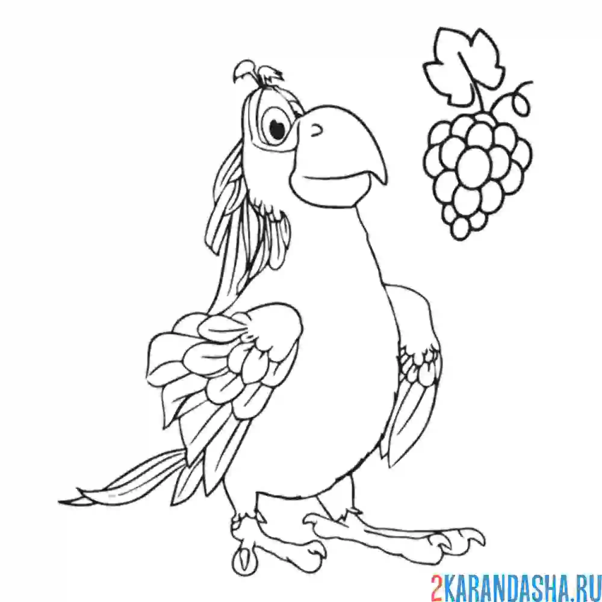 Раскраска гуга попугай