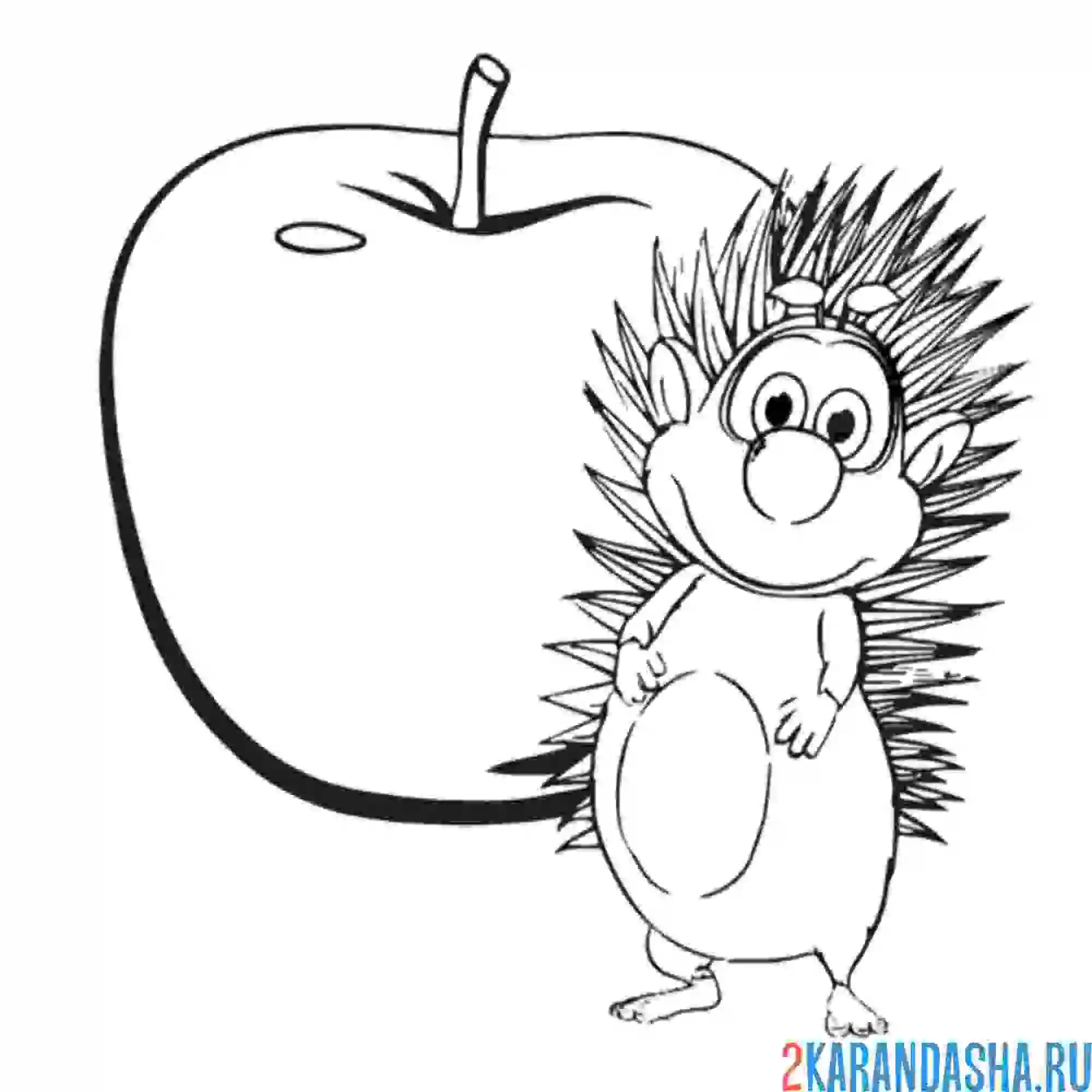 Раскраска ёж спайк