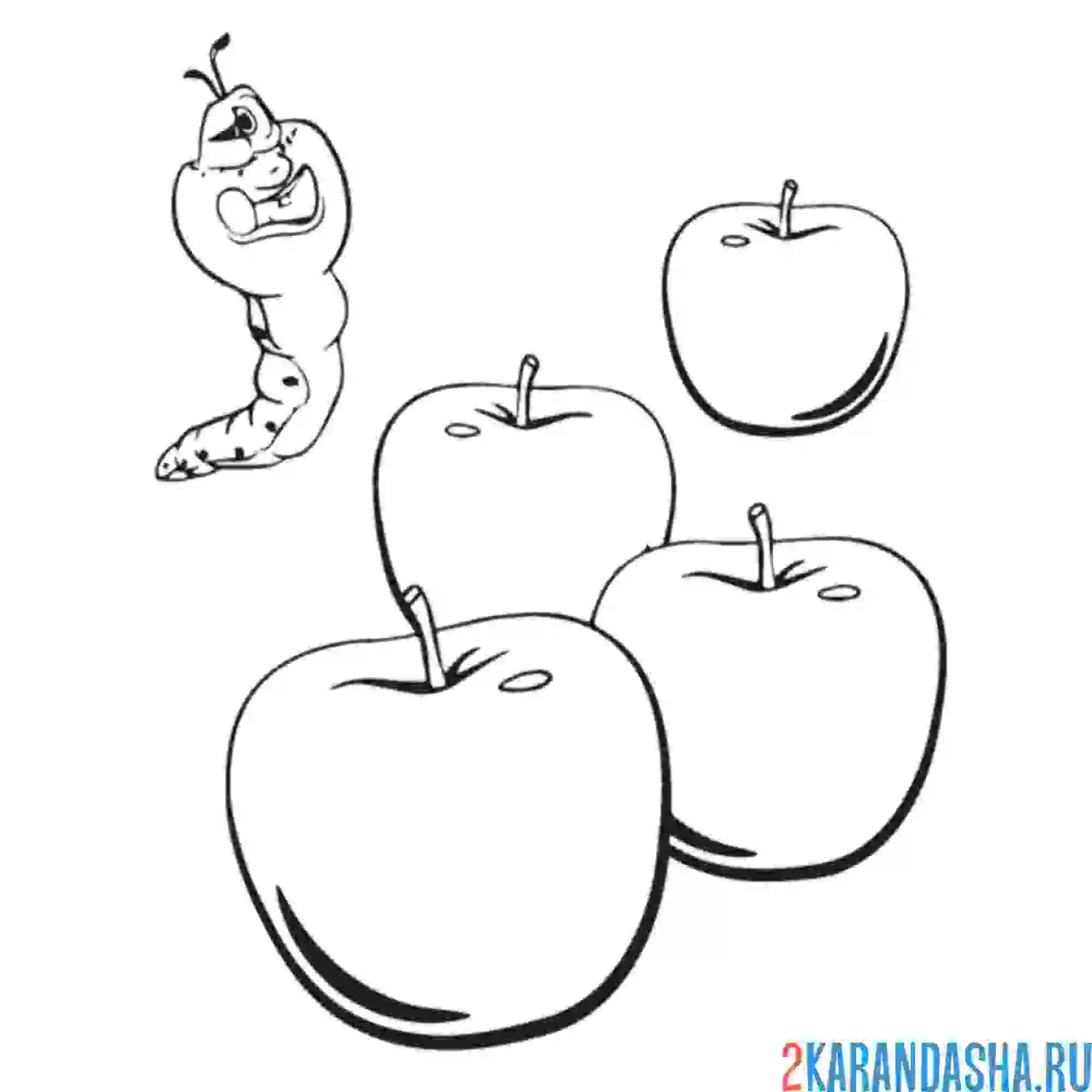 Раскраска дуда и яблоки