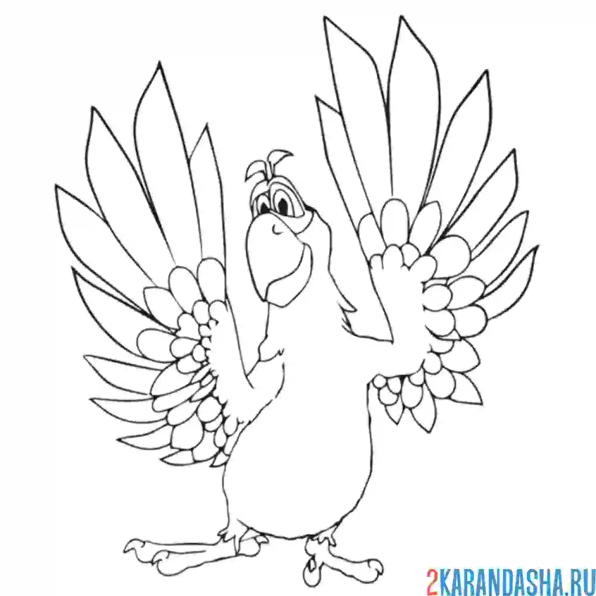 Раскраска попугай гуга