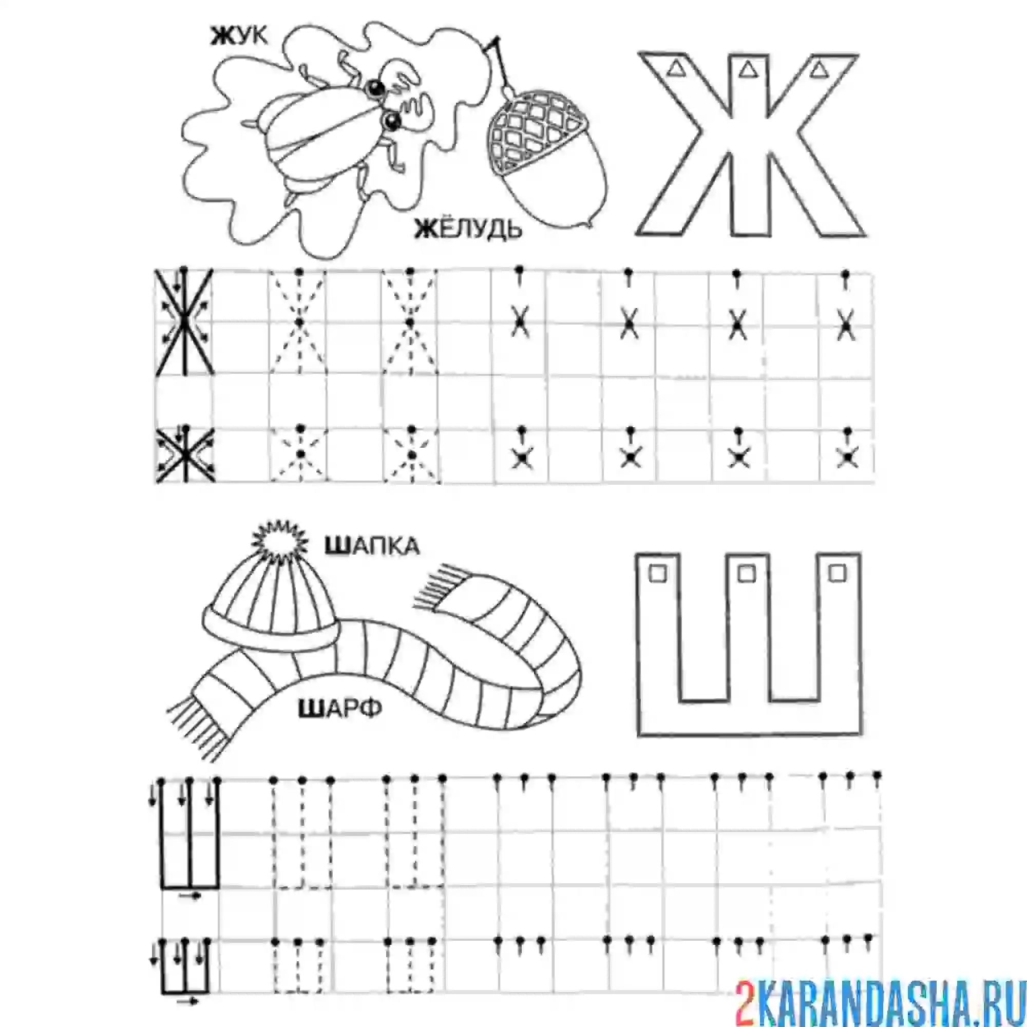 Раскраска прописи буква ж ш