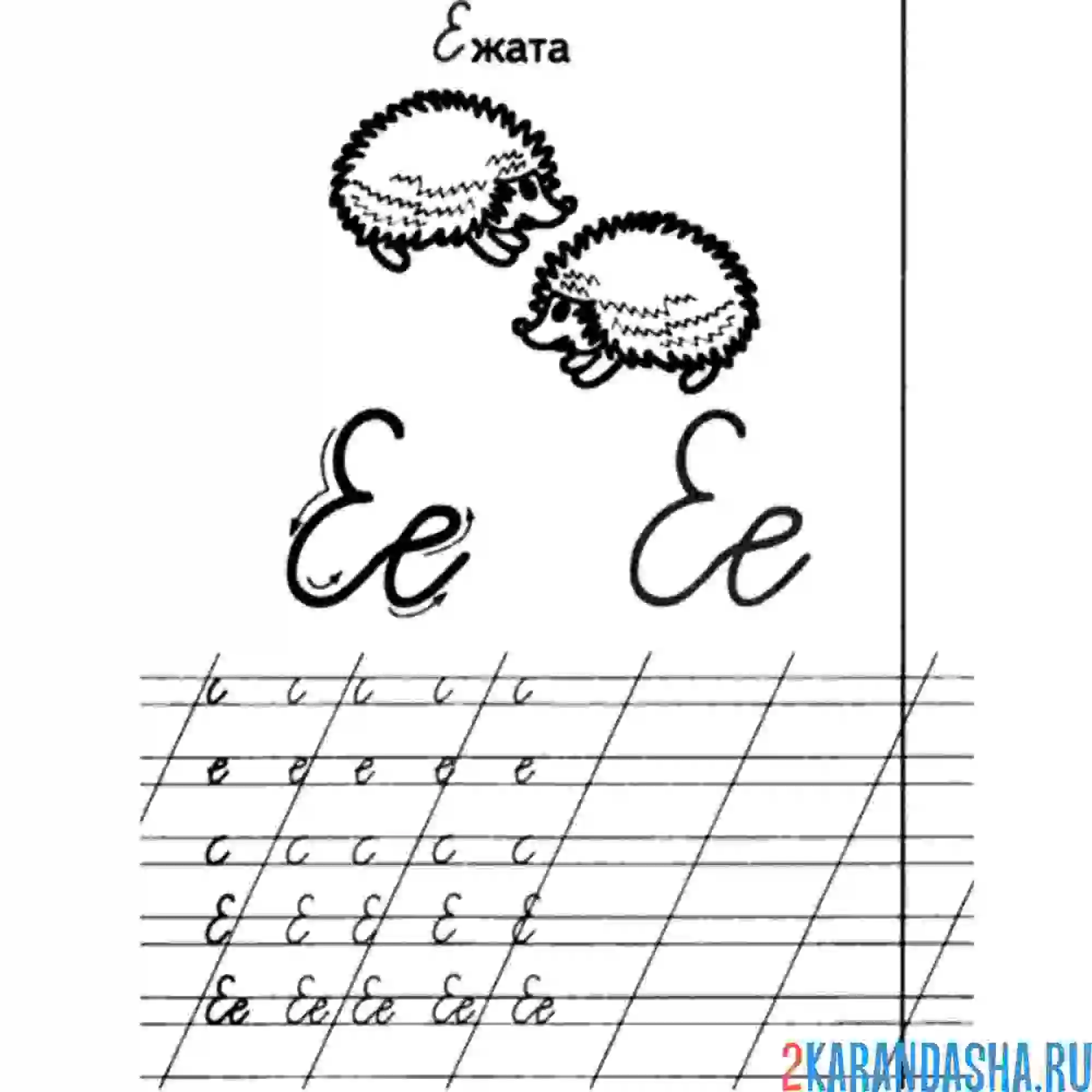 Раскраска пропись дошкольника буква е