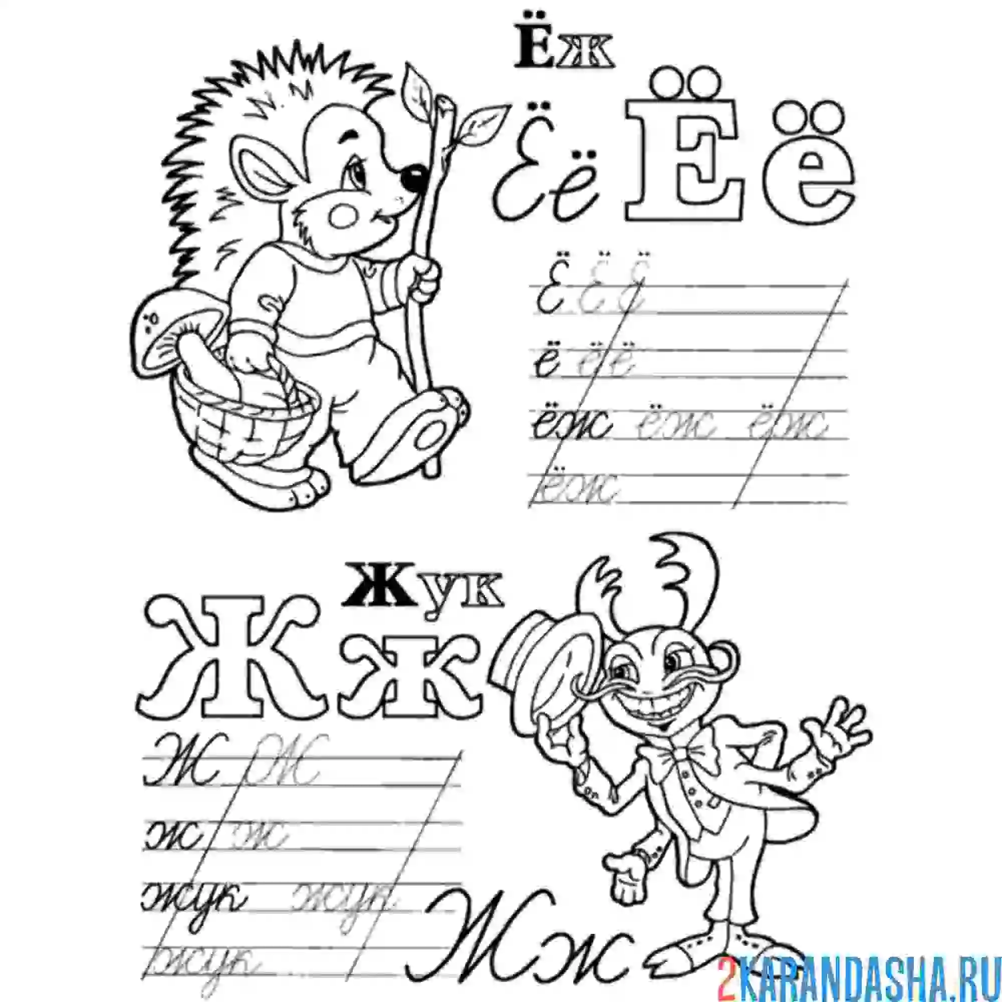 Раскраска пропись буква ё и ж