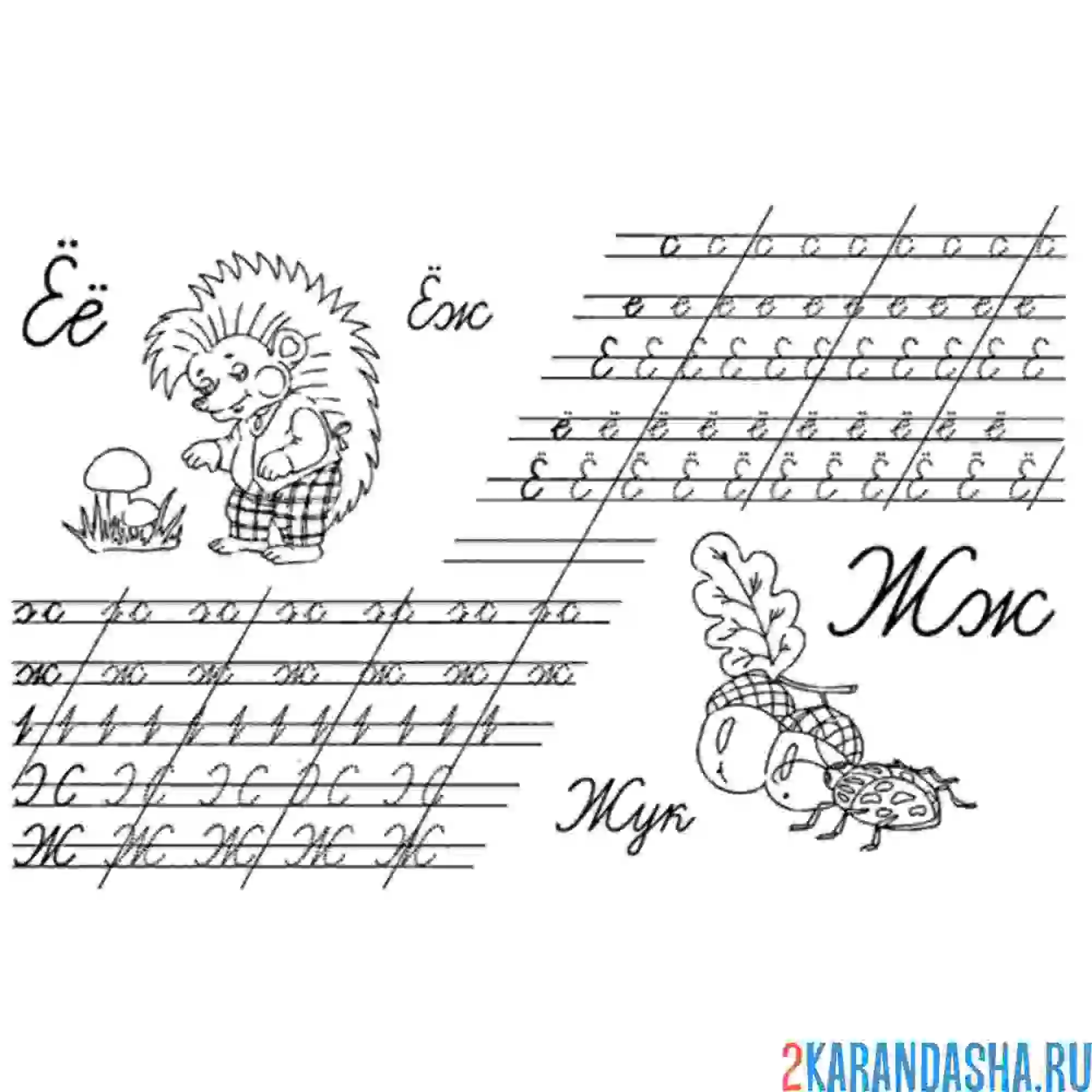 Раскраска прописи с буквой ё и ж