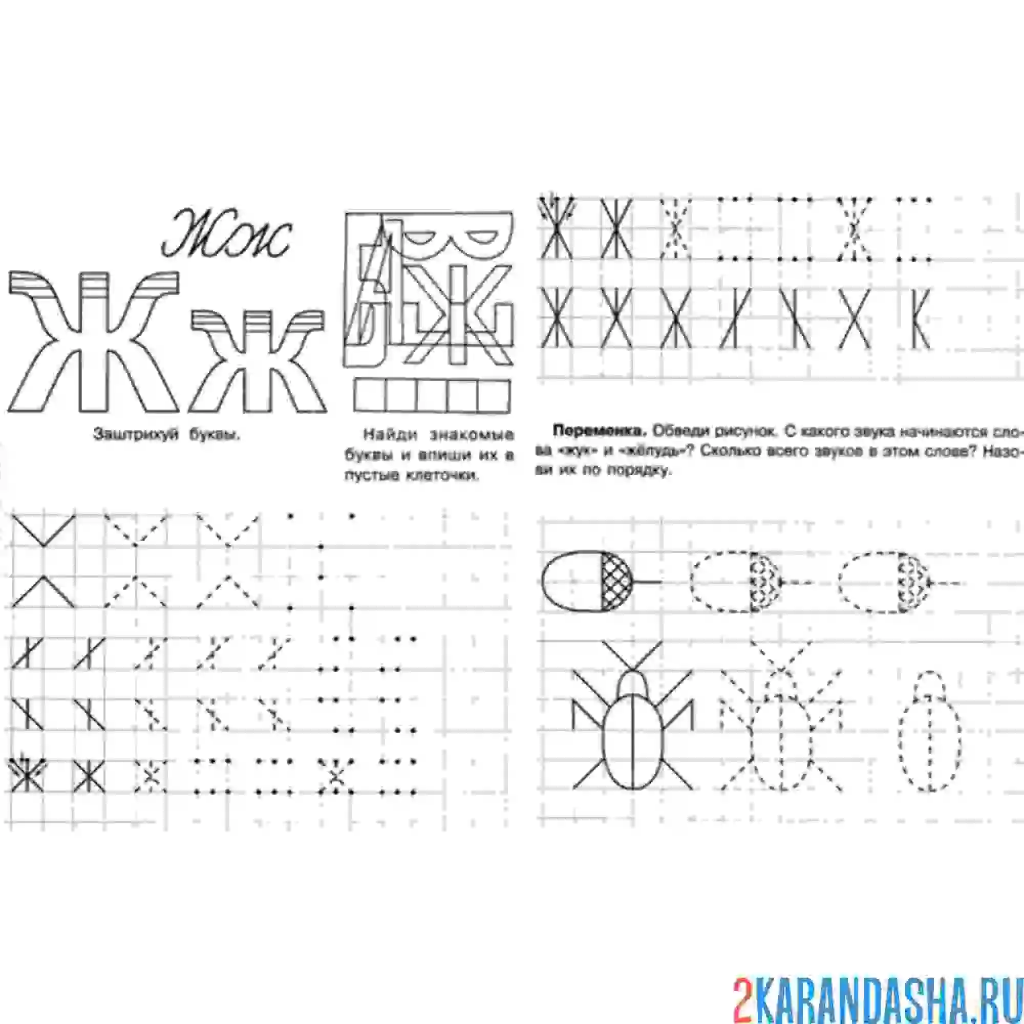 Раскраска буква ж по клеточкам