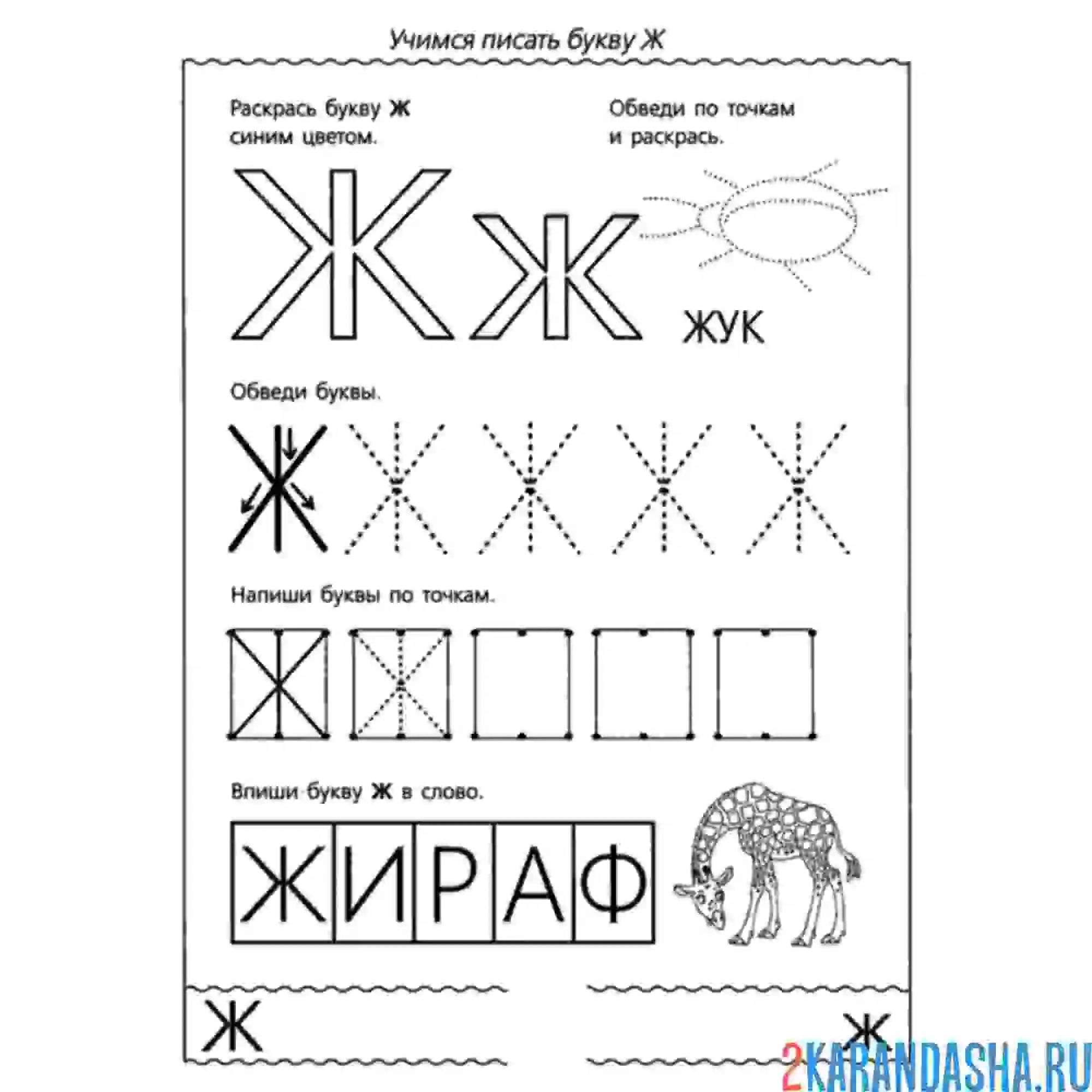 Раскраска пропись с печатной буквой ж