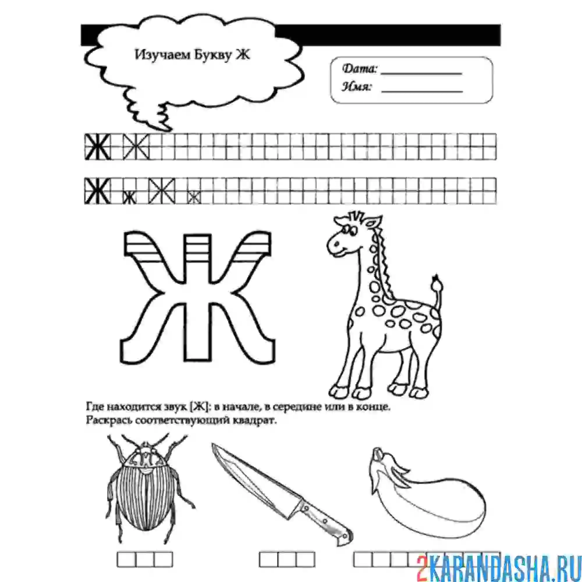 Раскраска напиши букву ж и впиши слова