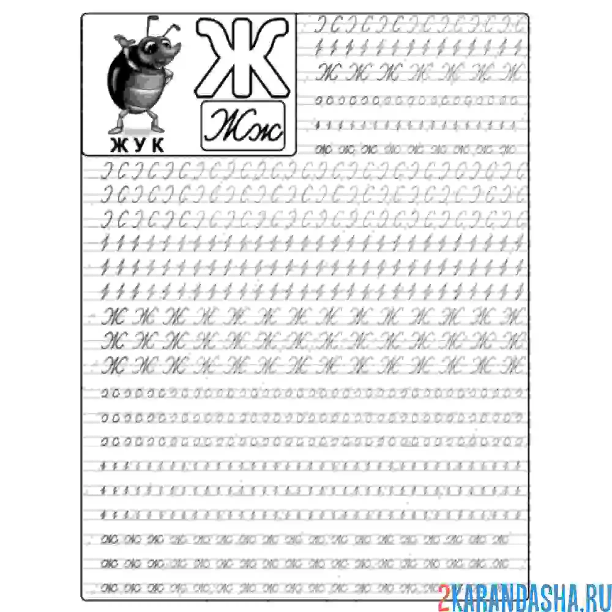 Раскраска буква ж большая пропись