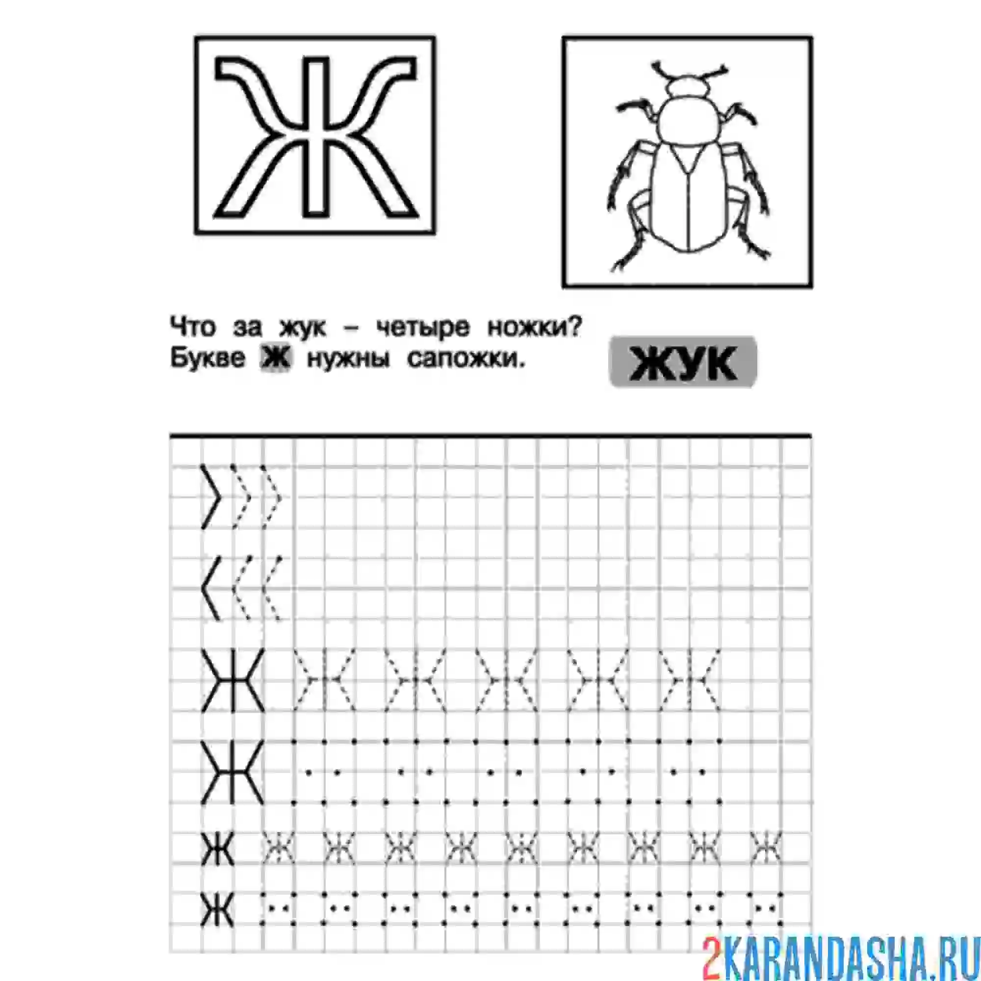Раскраска пропись ж буква печатная