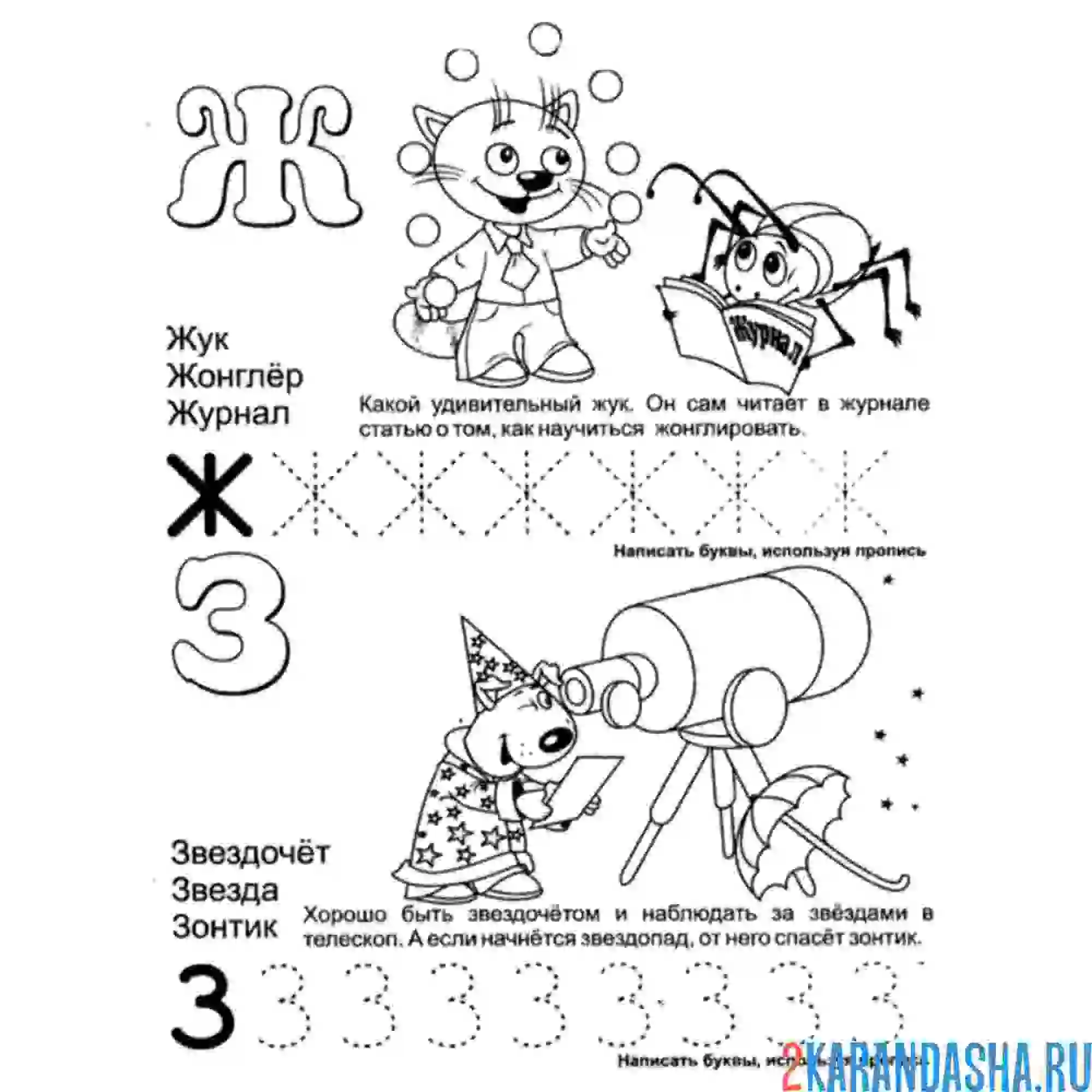 Раскраска буква ж и з пропись