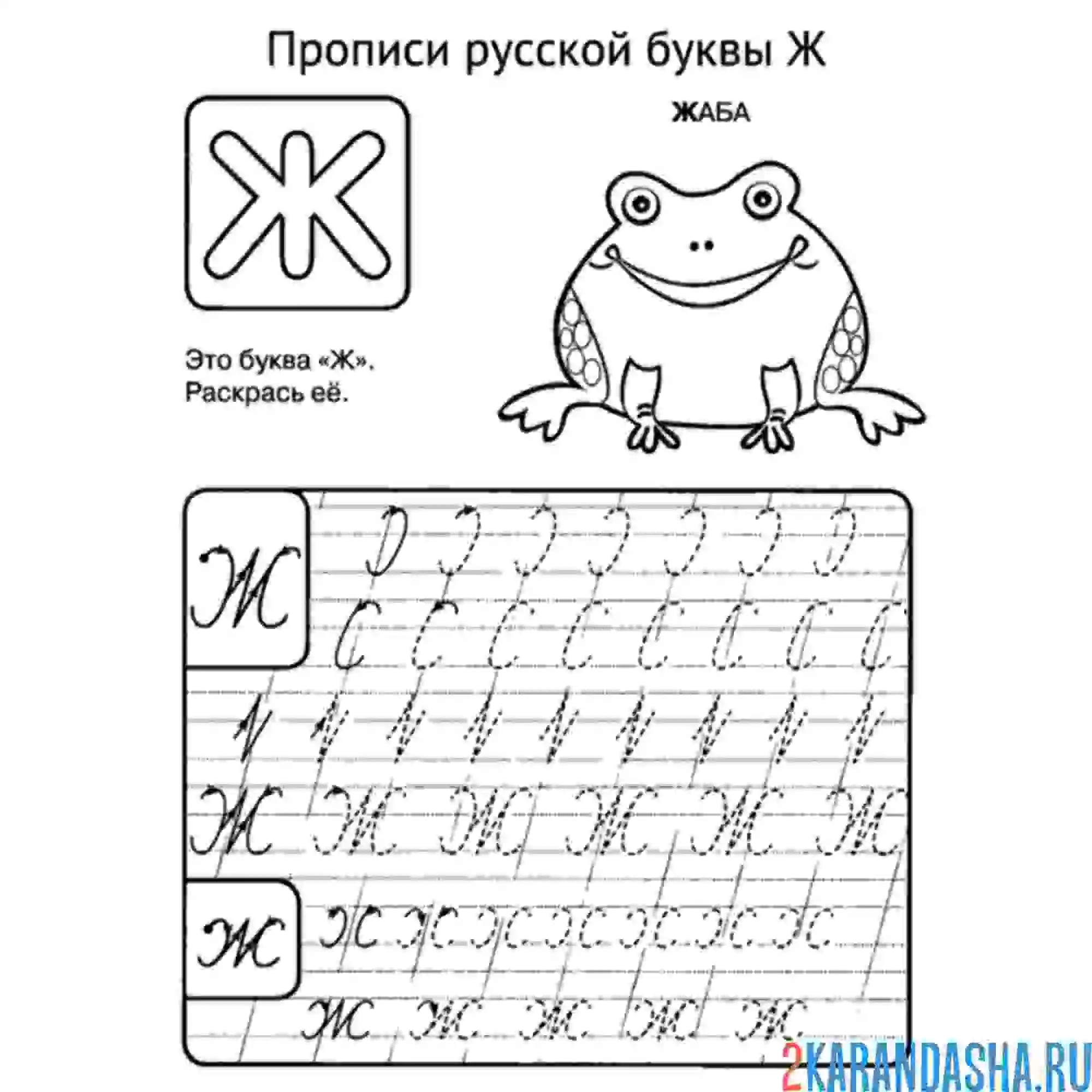 Раскраска буква ж пропись прописная