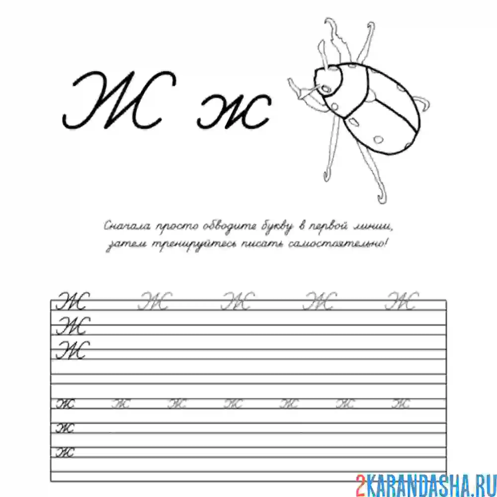 Раскраска пропись буква ж заглавная и строчная