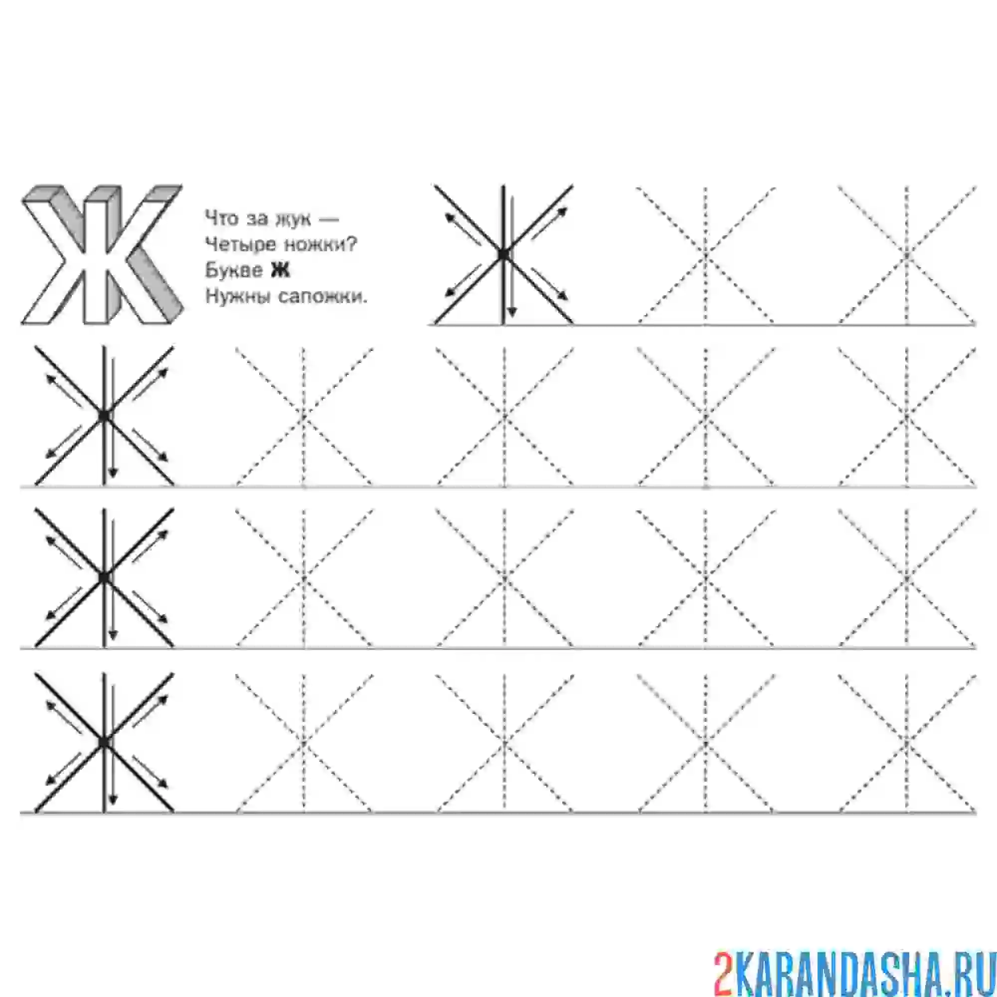 Раскраска обведи букву ж печатная