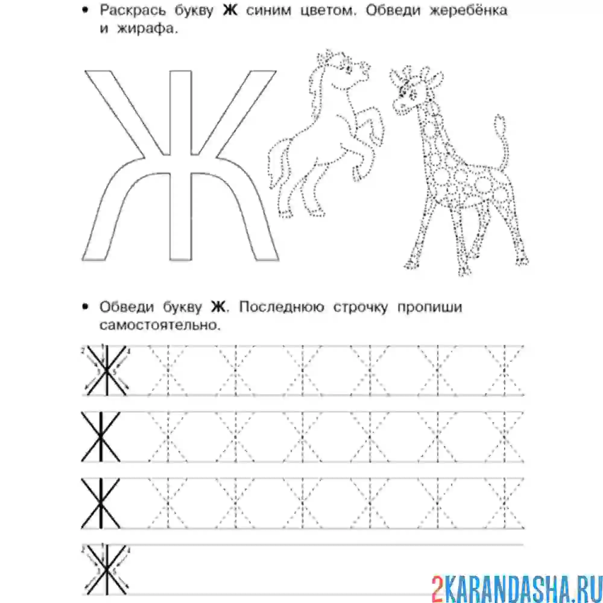 Раскраска буква ж печатная
