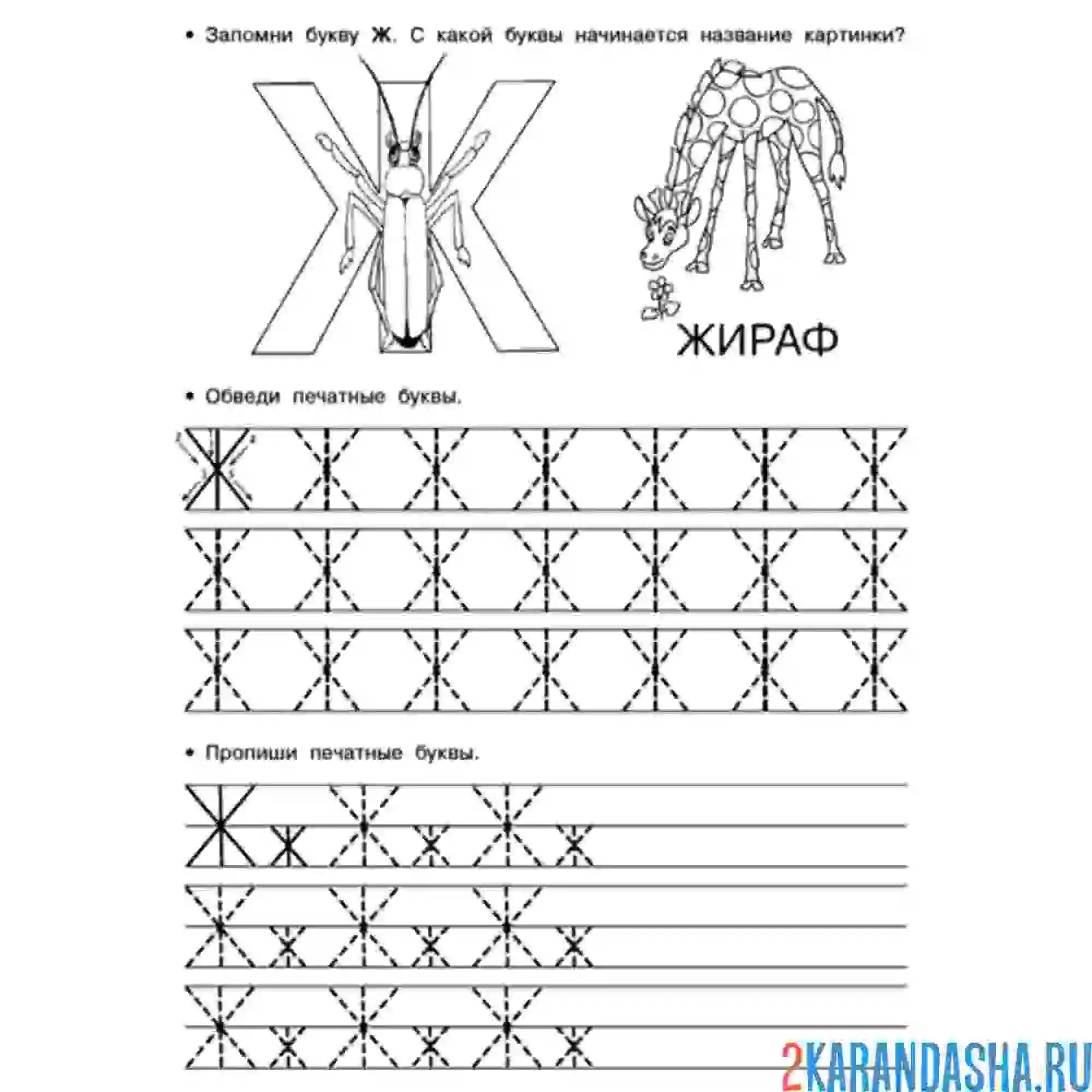 Раскраска учимся писать букву ж