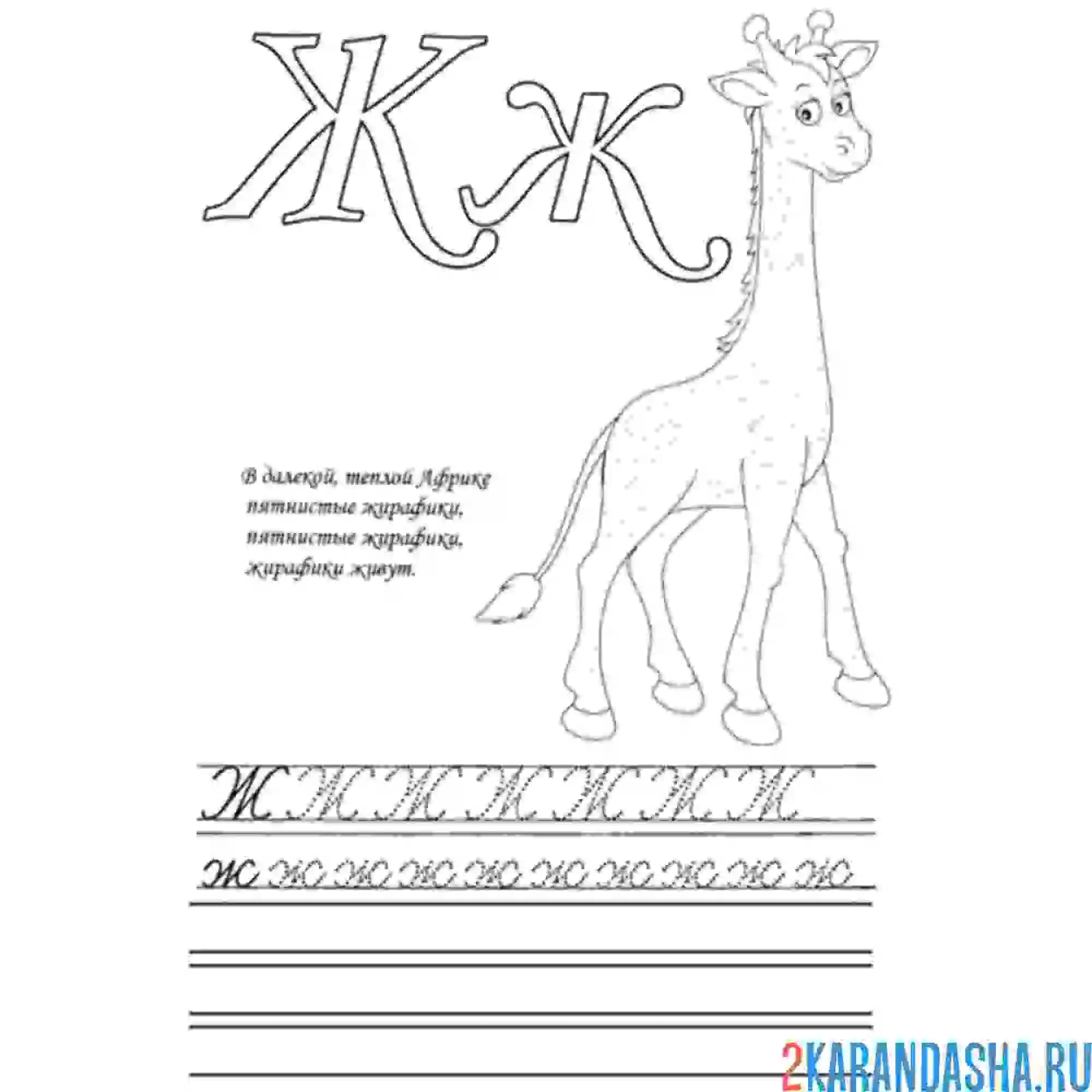 Раскраска напиши букву ж