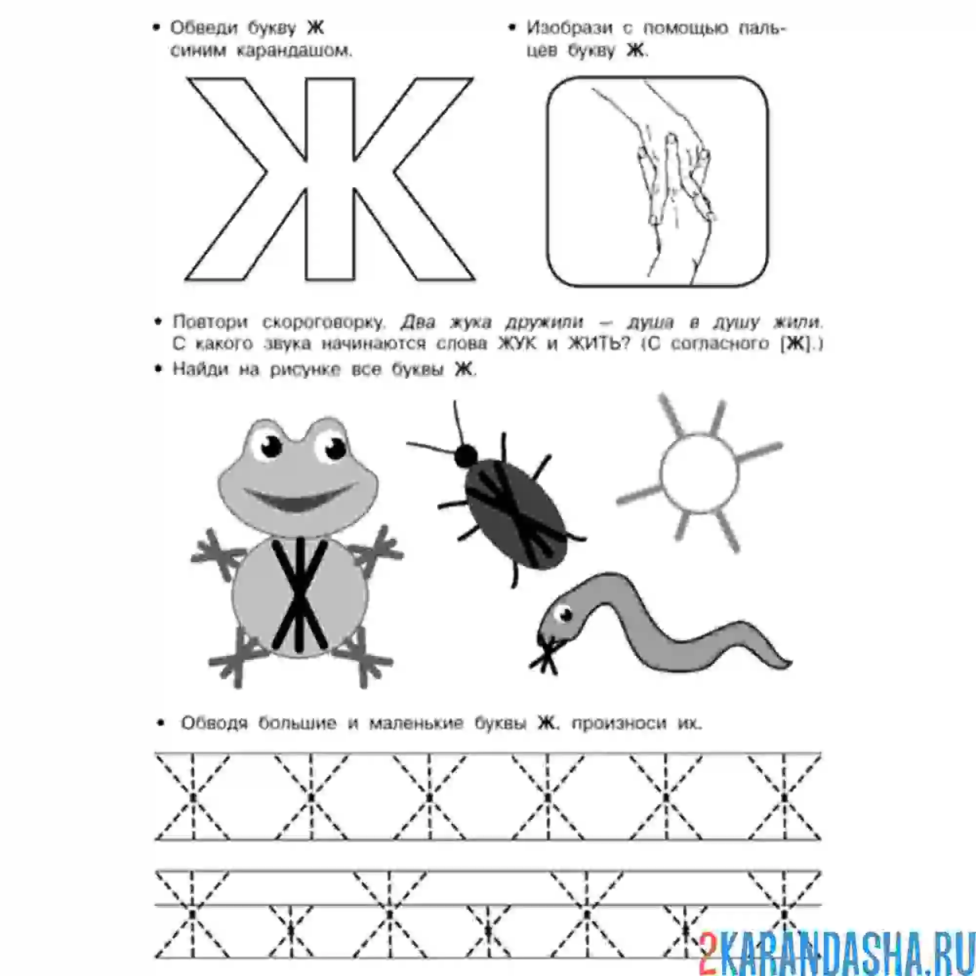 Раскраска печатная буква ж пропись