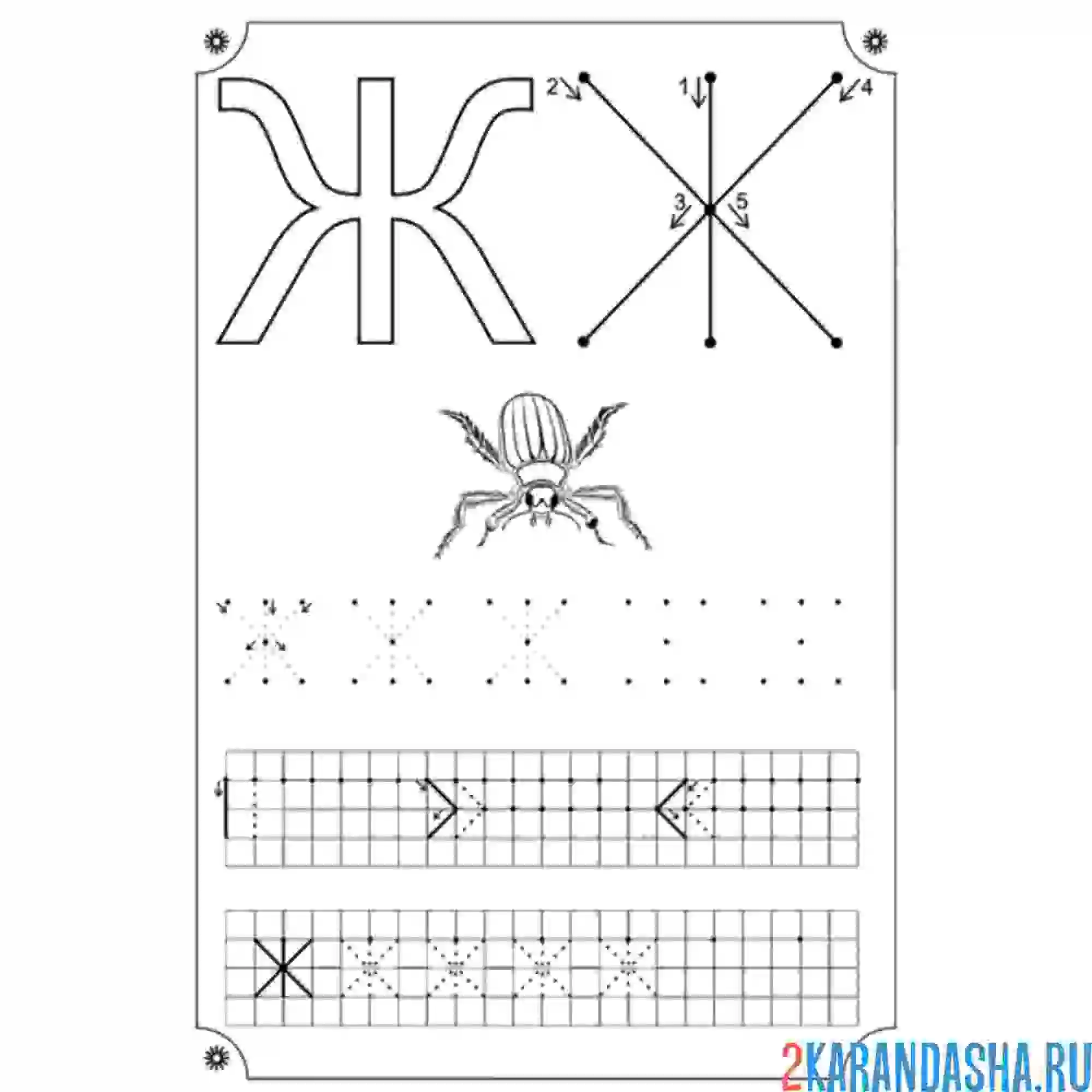 Раскраска пропись буква ж