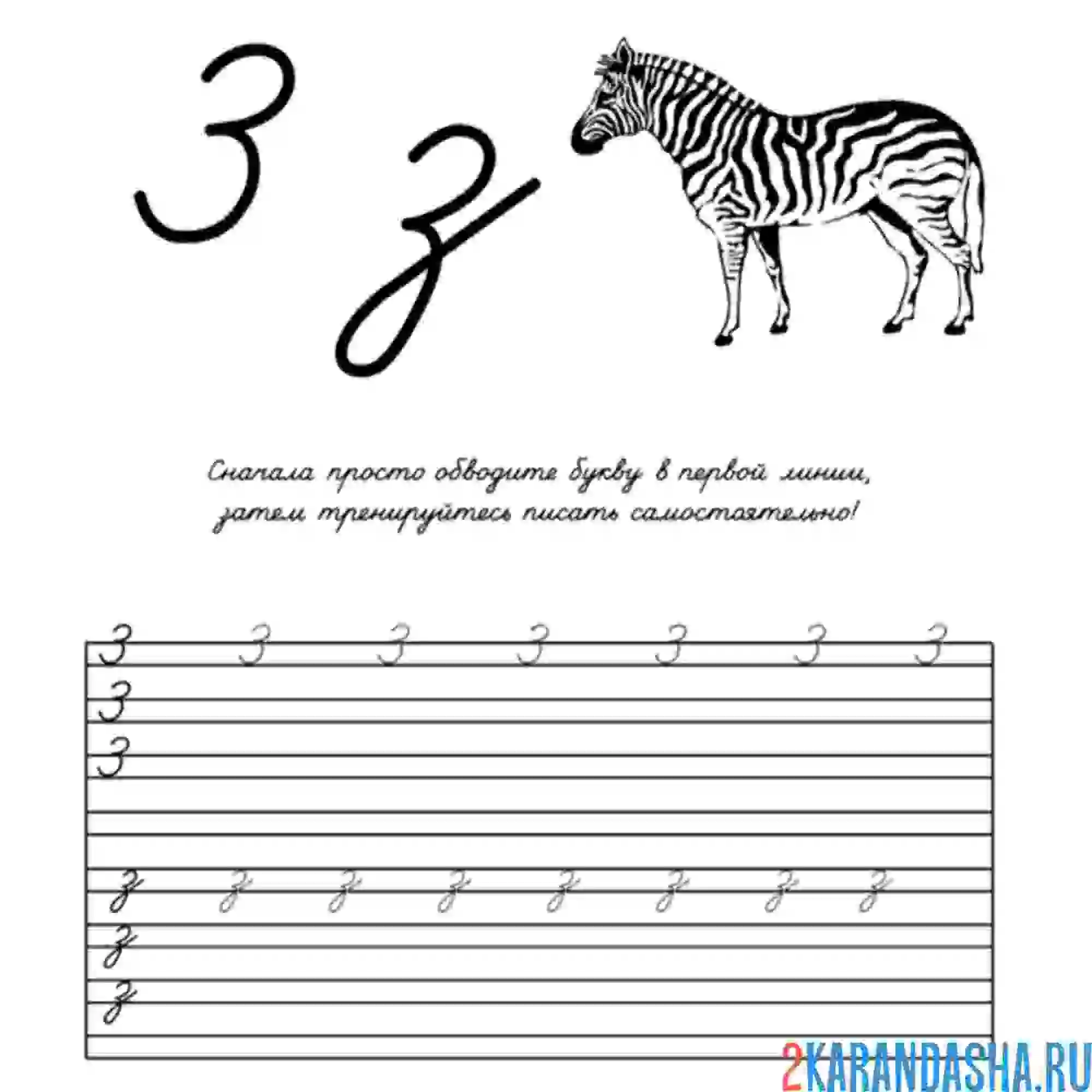 Раскраска обведи и напиши букву з