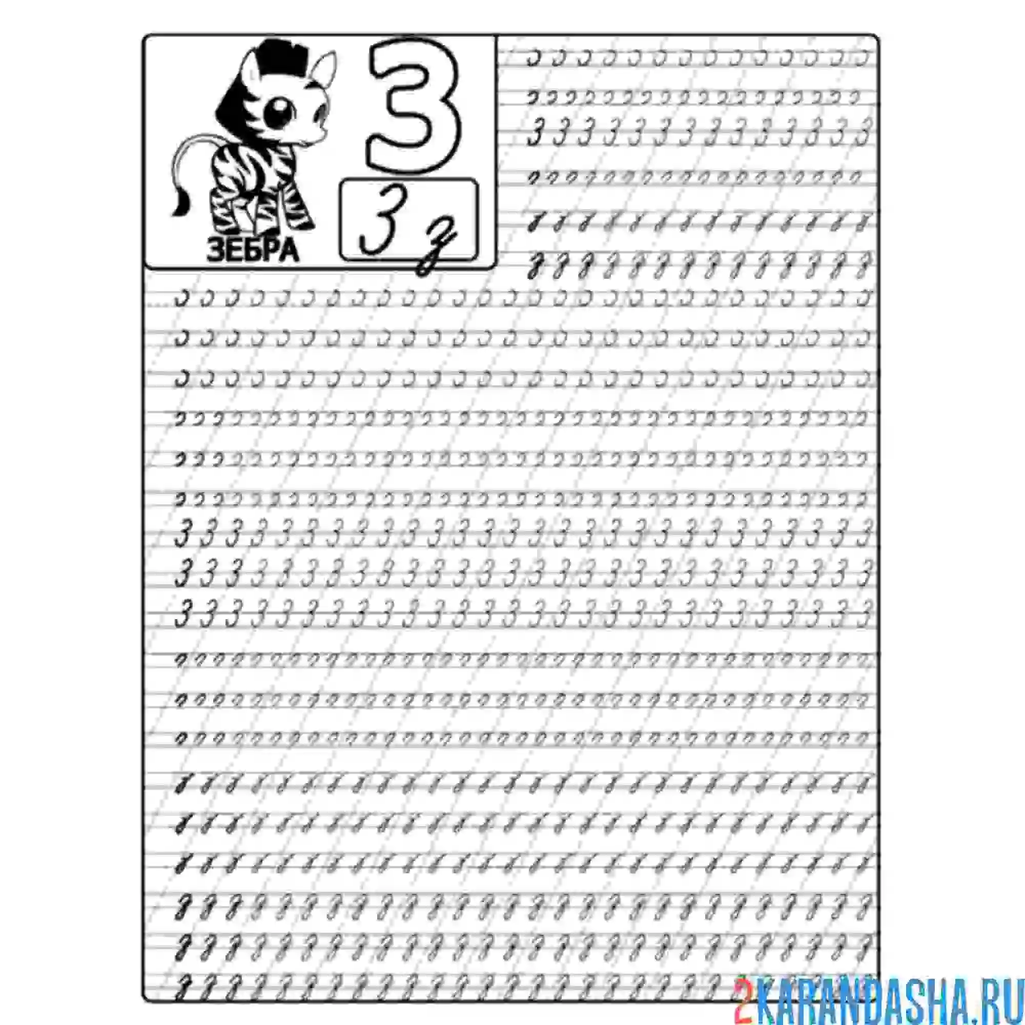 Раскраска буква з пропись прописная