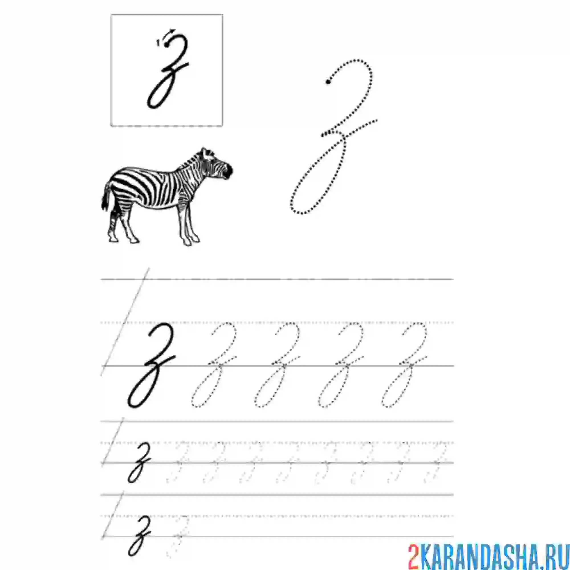 Раскраска строчная буква з пропись