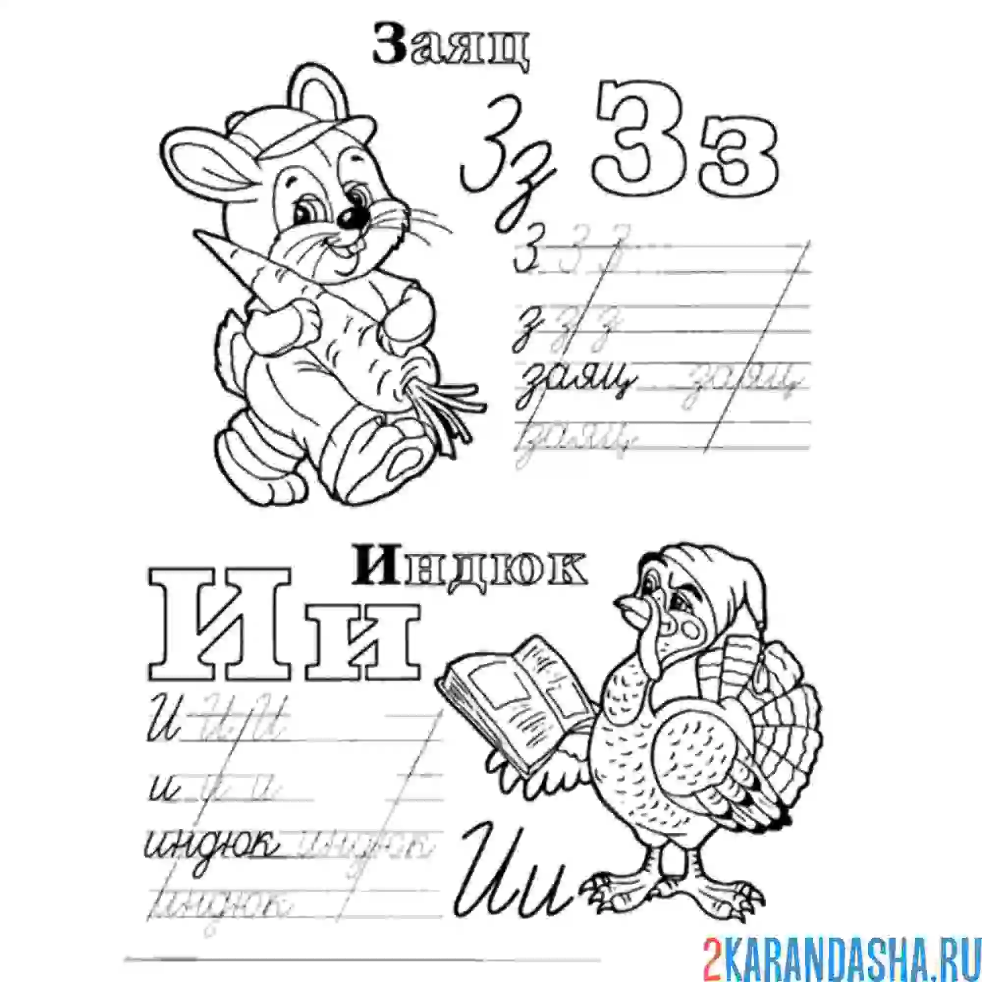 Раскраска буква з и и пропись