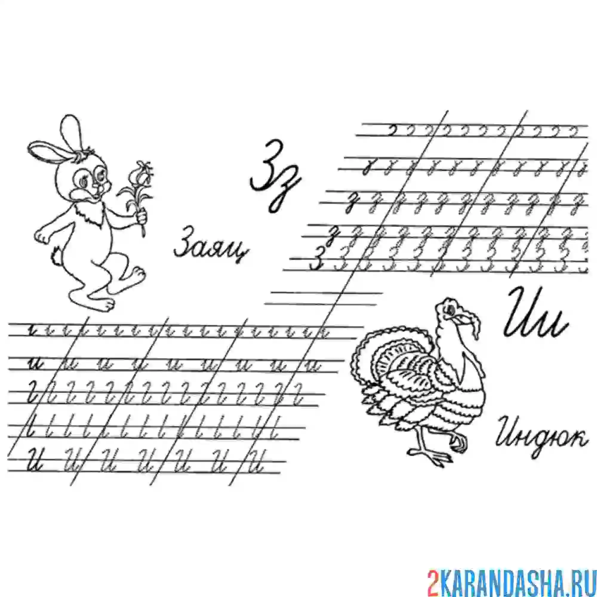 Раскраска строчные буквы з и и