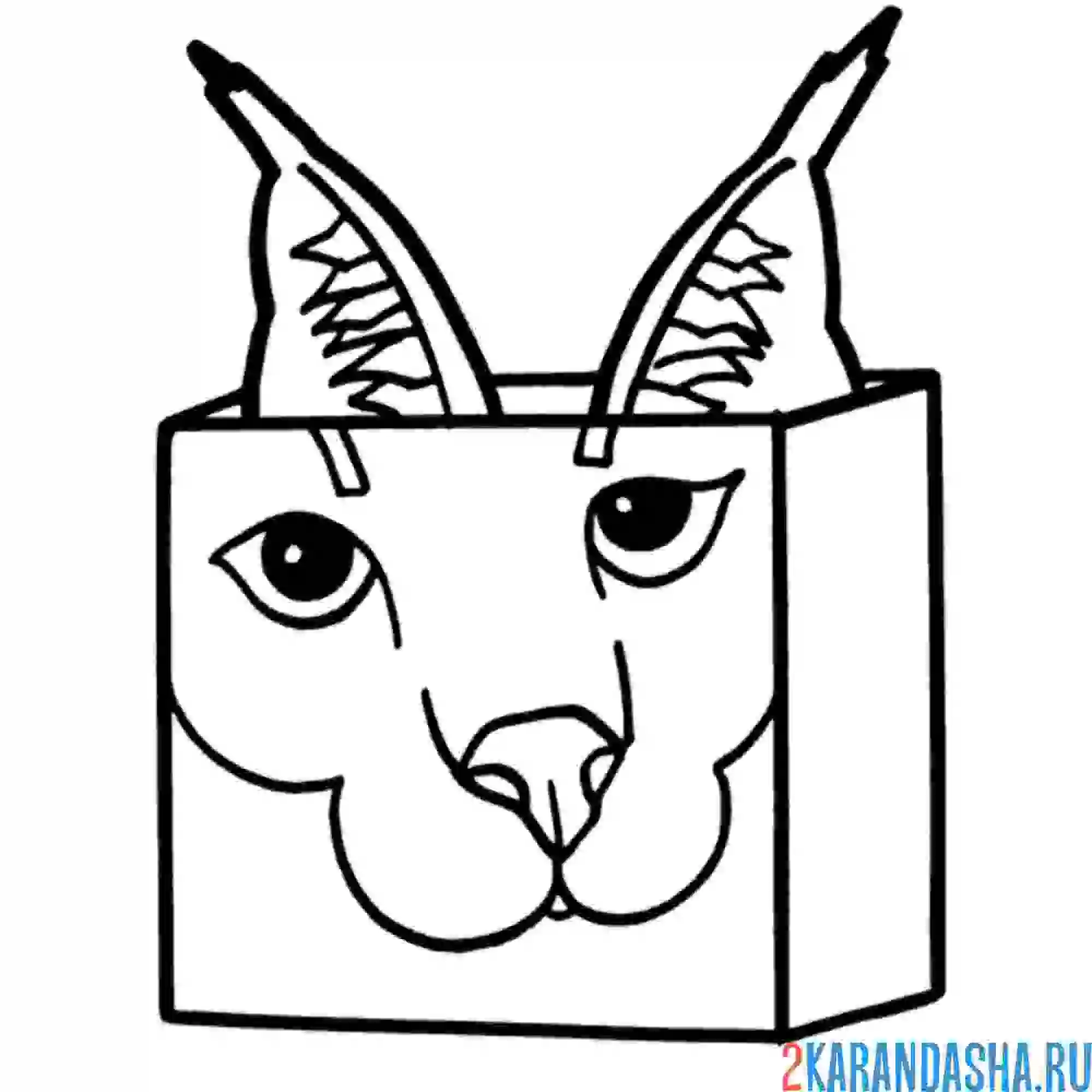 Раскраска флоппа