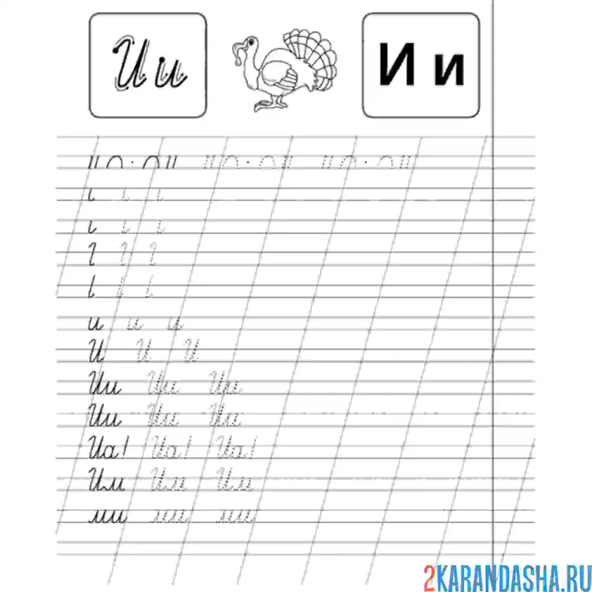 Раскраска пропись буква и строчная