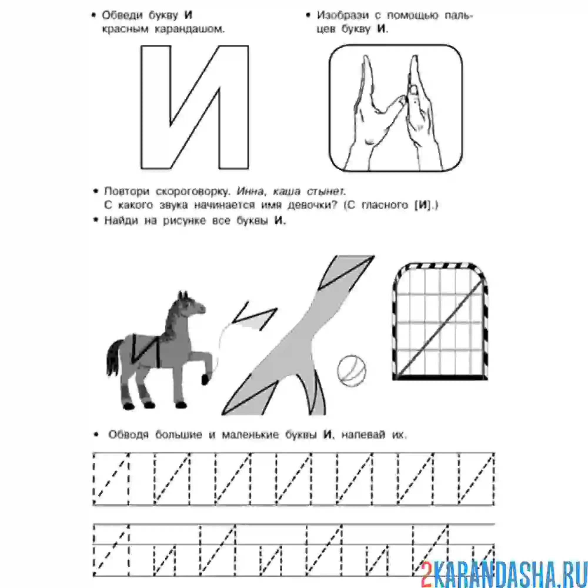 Раскраска печатная заглавная буква и пропись