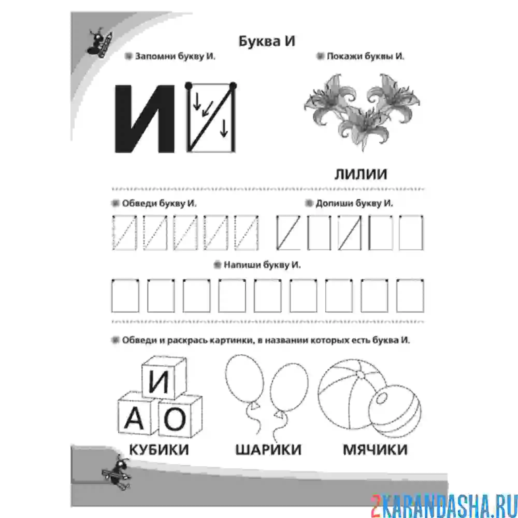 Раскраска напиши букву и пропись