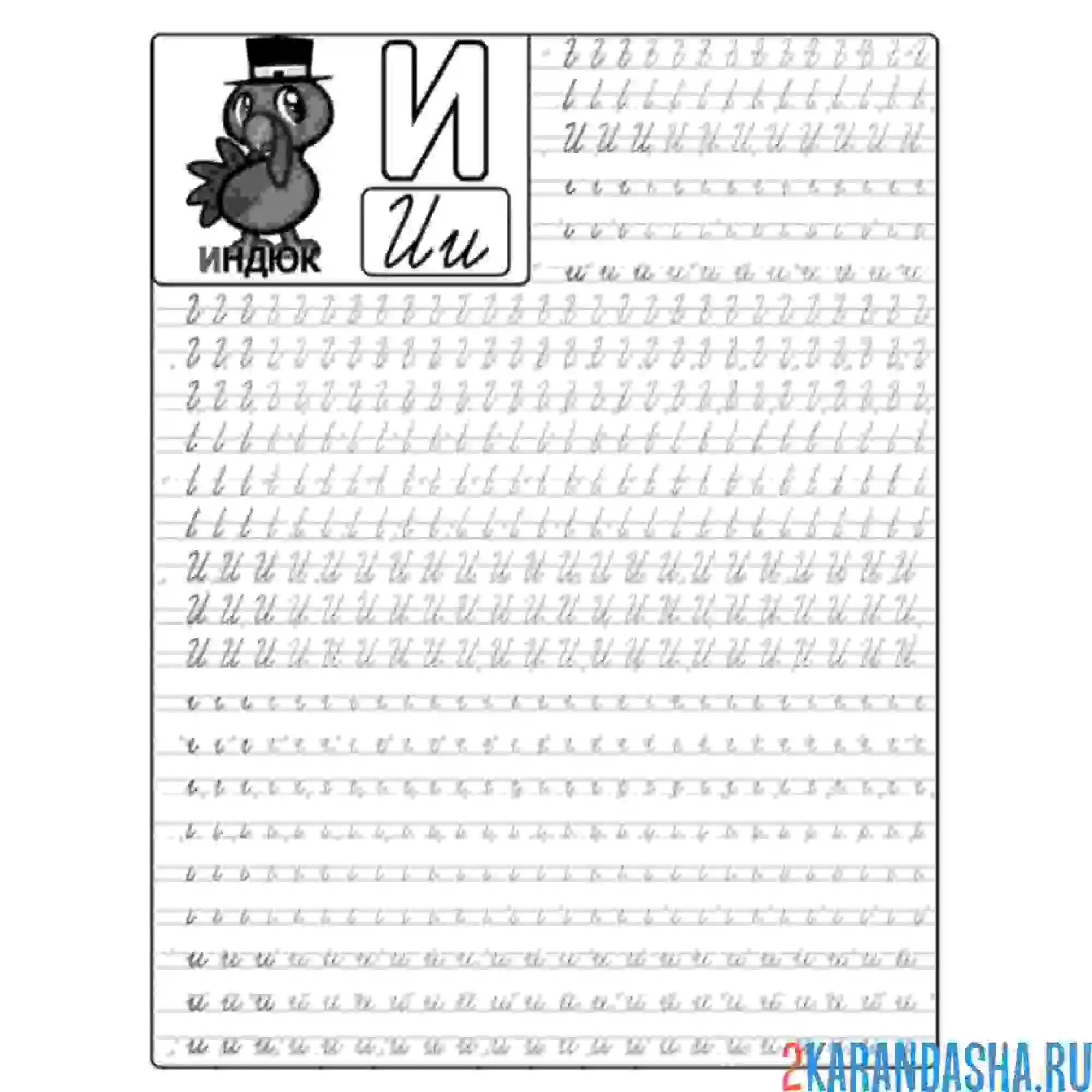 Раскраска строчная и заглавная прописная буква и