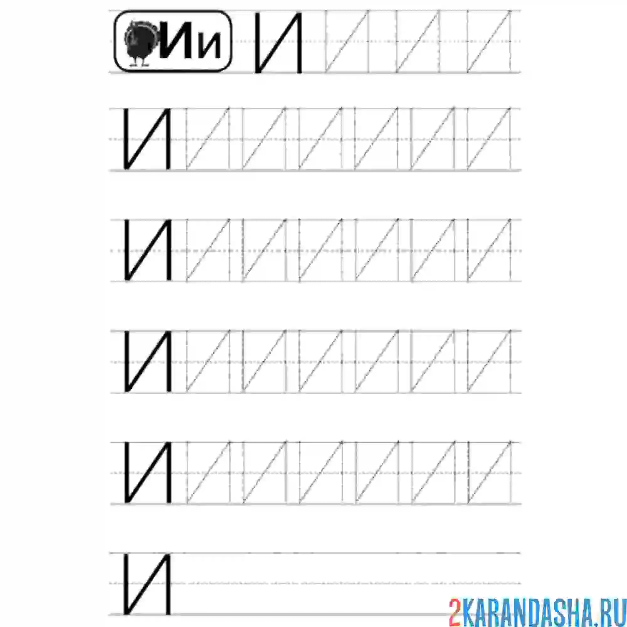 Раскраска большая буква и пропись