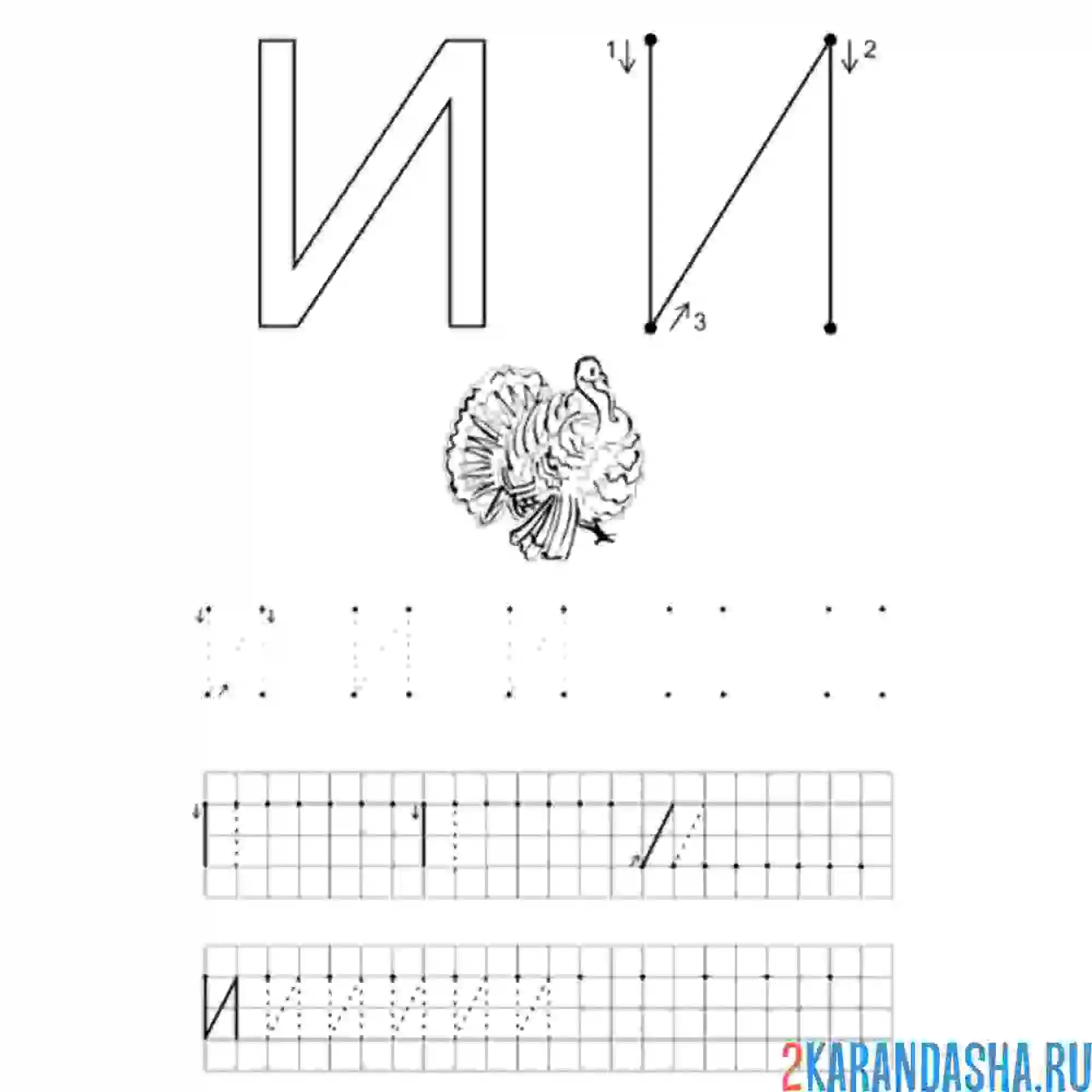 Раскраска заглавная буква и пропись
